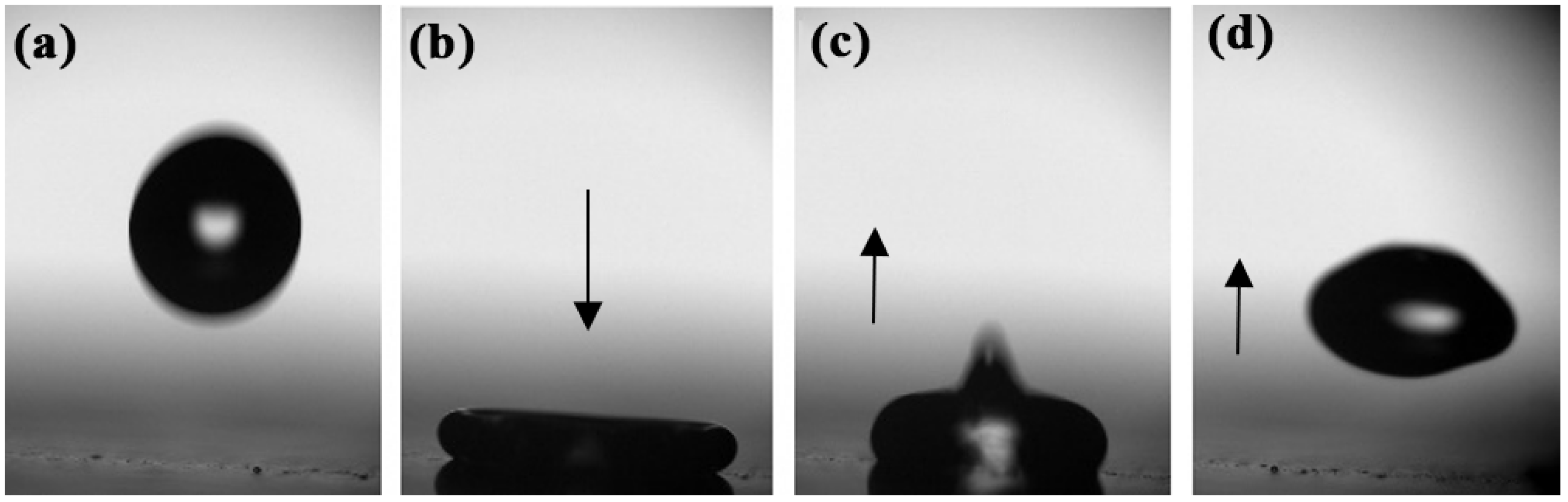 Coatings 12 01655 g005 Coatings 12 01655 g005