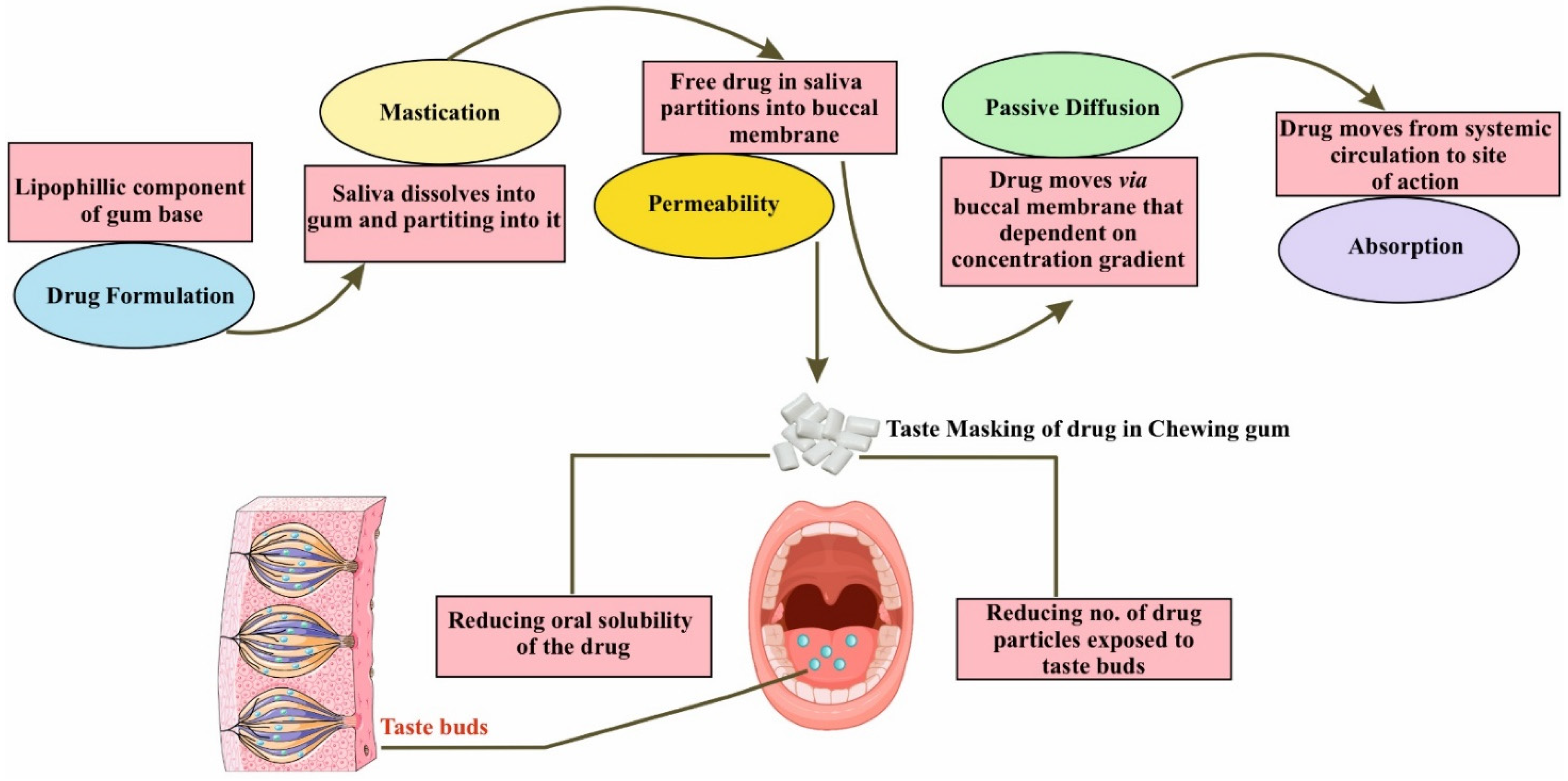 Coatings | Free Full-Text | Flavor Microencapsulation for Taste Masking in  Medicated Chewing Gums&mdash;Recent Trends, Challenges, and Future  Perspectives