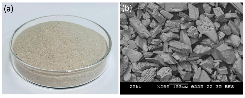 Coatings 12 01658 g004