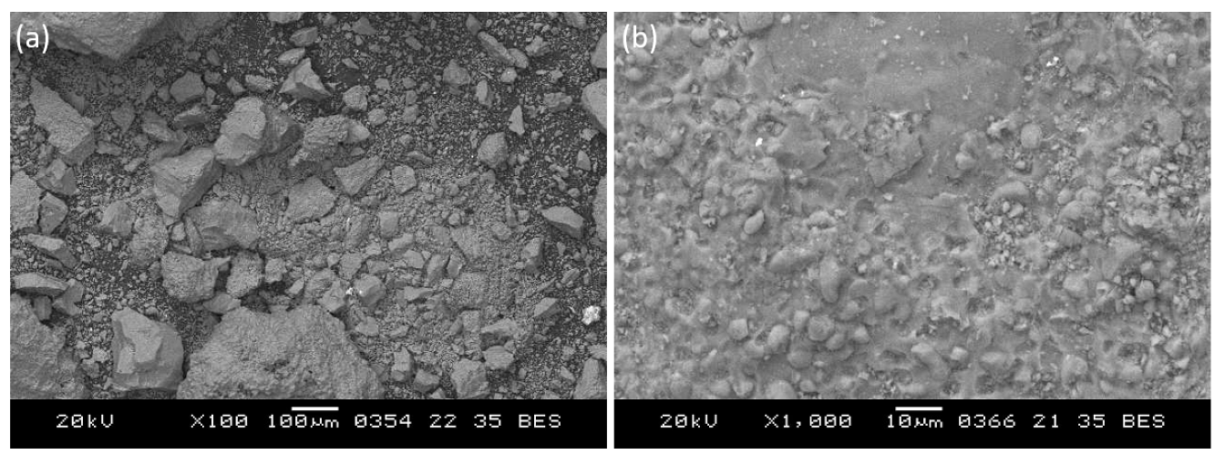 Coatings 12 01658 g011