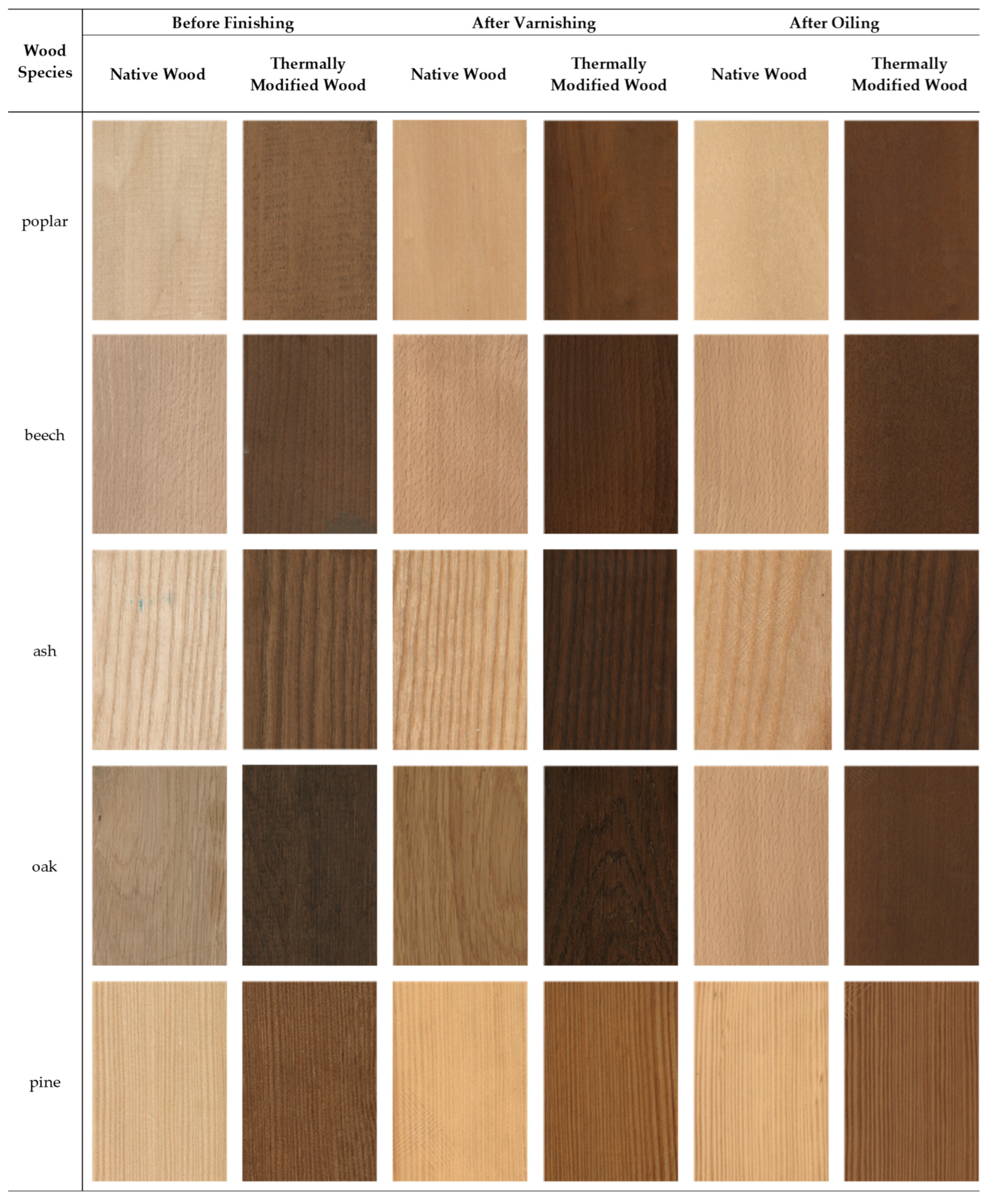 Coatings 12 01663 g004 Coatings 12 01663 g004