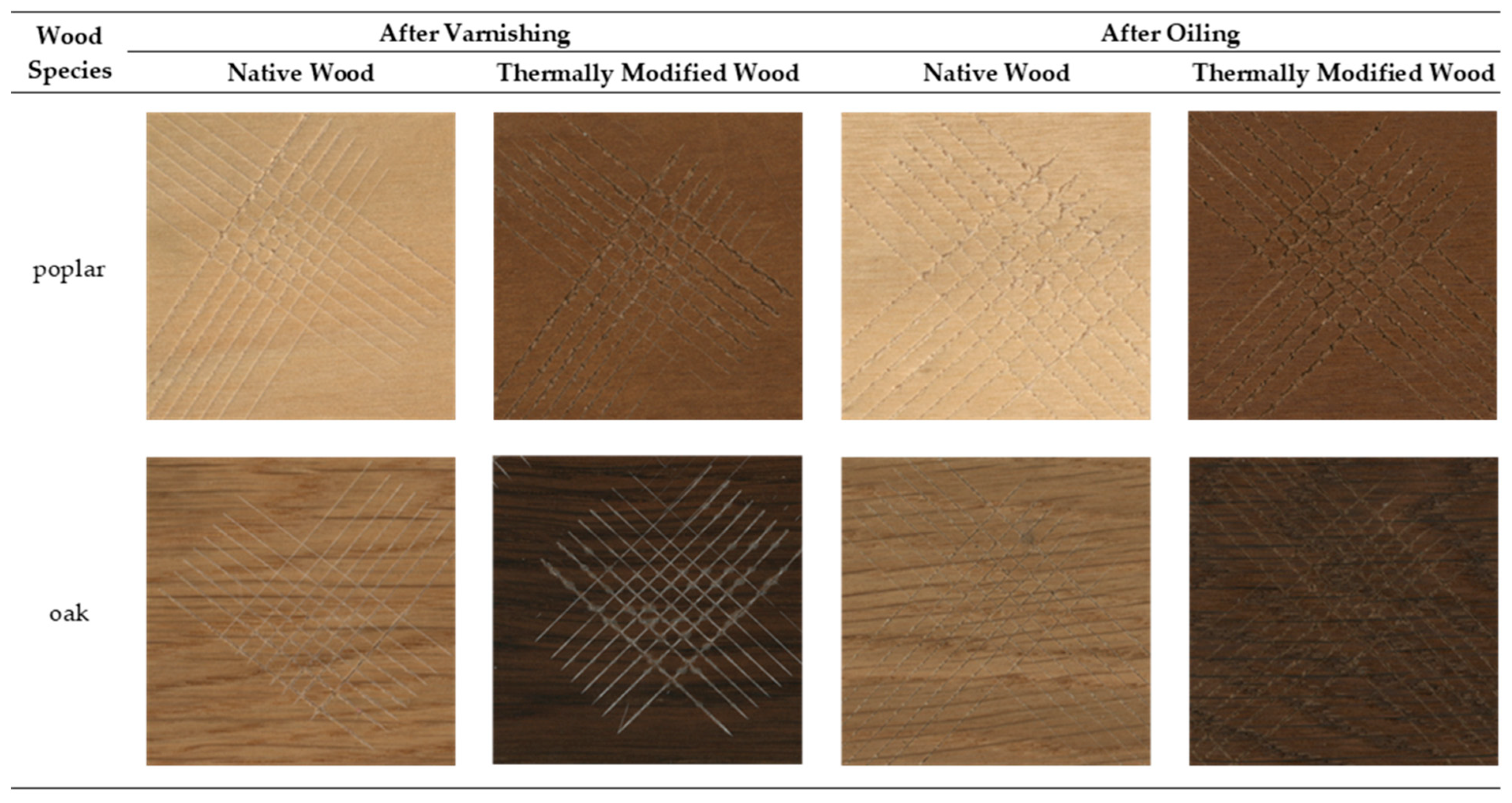 Coatings 12 01663 g010 Coatings 12 01663 g010