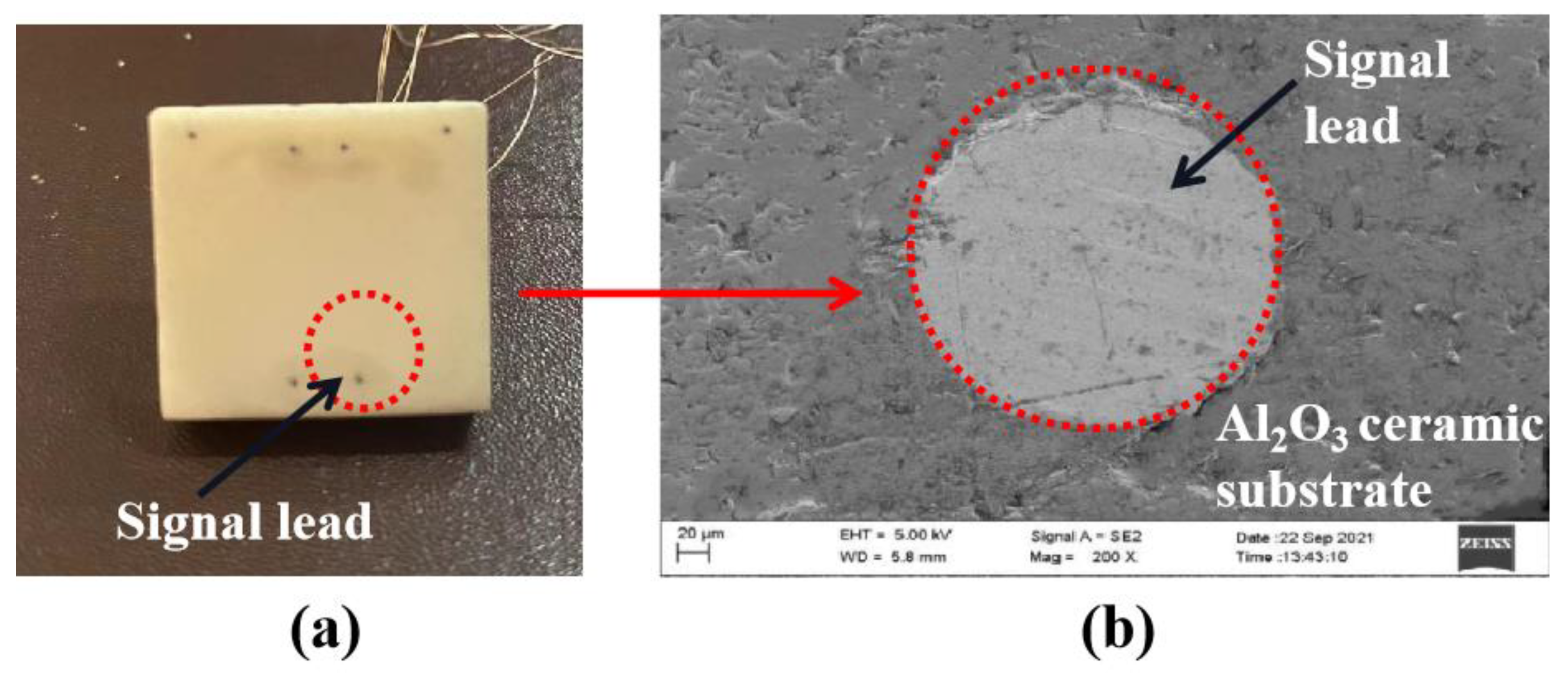 Coatings 12 01670 g003
