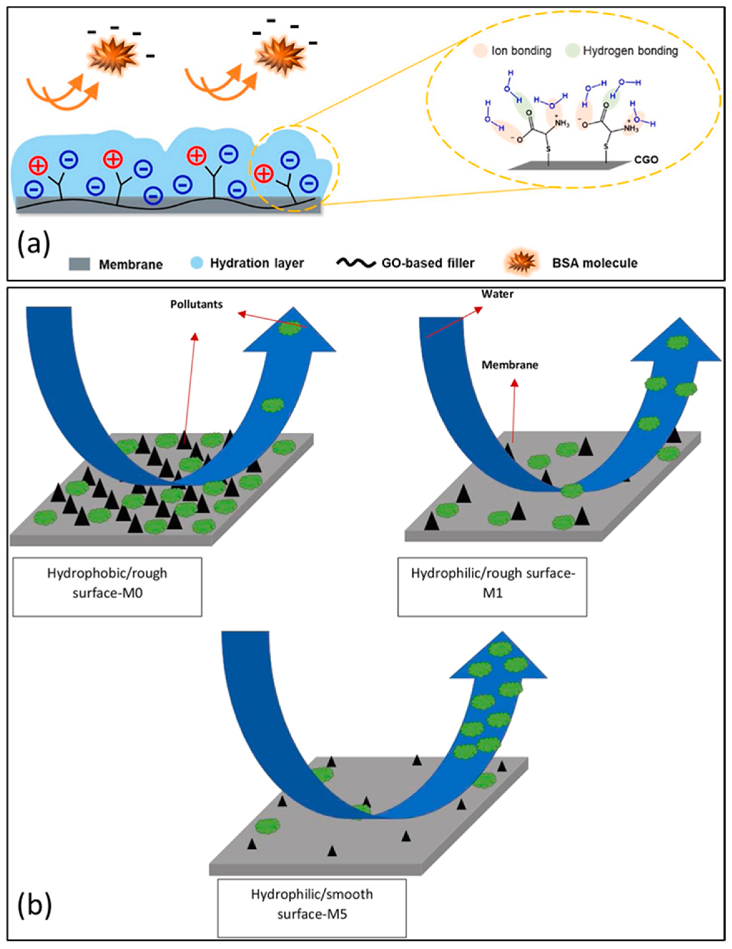 Coatings 12 01674 g010 Coatings 12 01674 g010