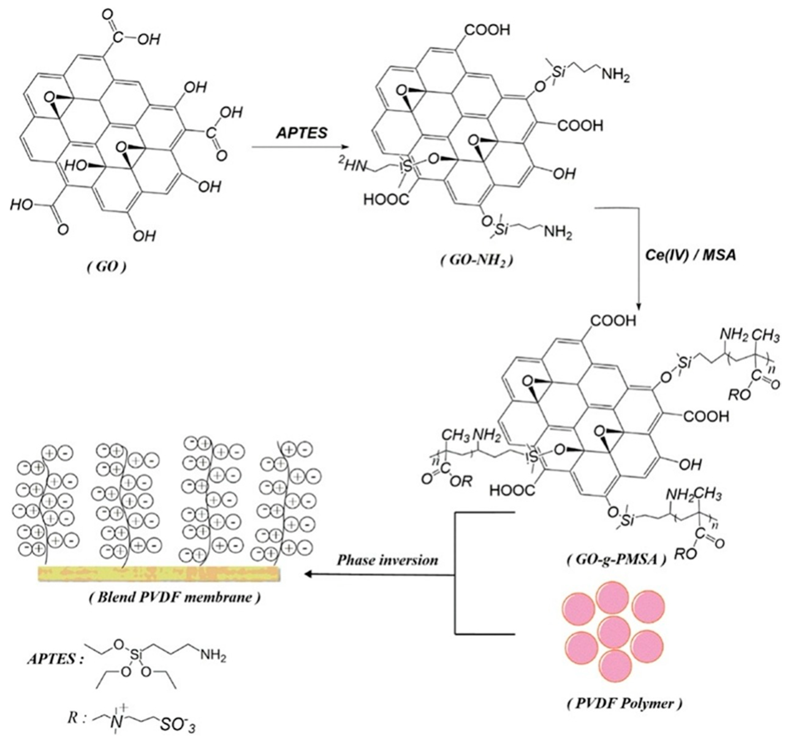 Coatings 12 01674 g011 Coatings 12 01674 g011