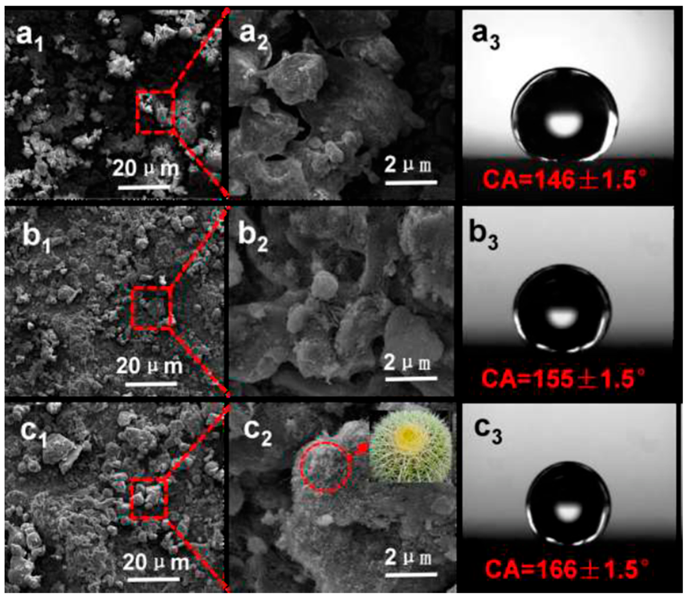 Coatings 12 01674 g014 Coatings 12 01674 g014