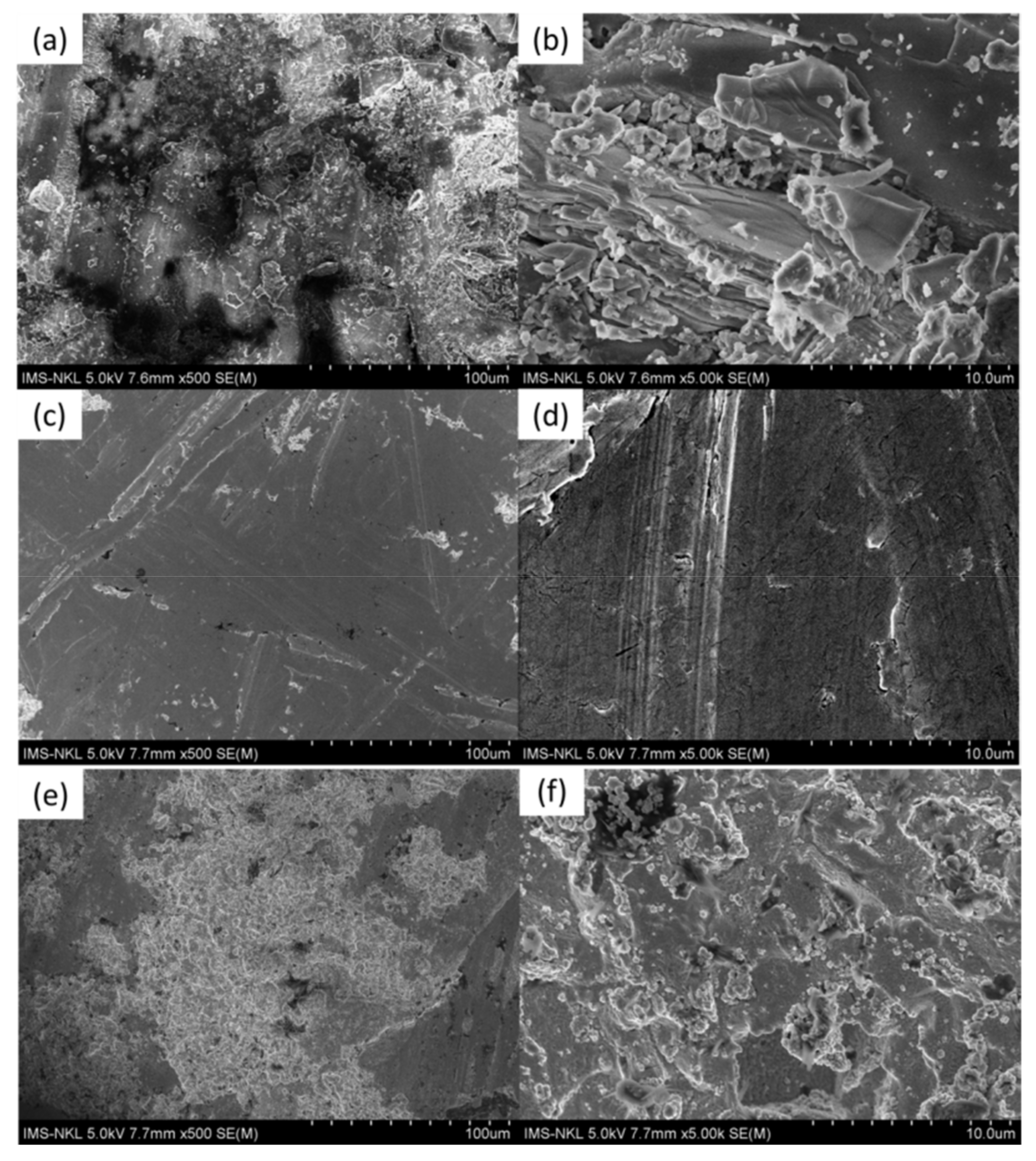 Coatings 12 01680 g001