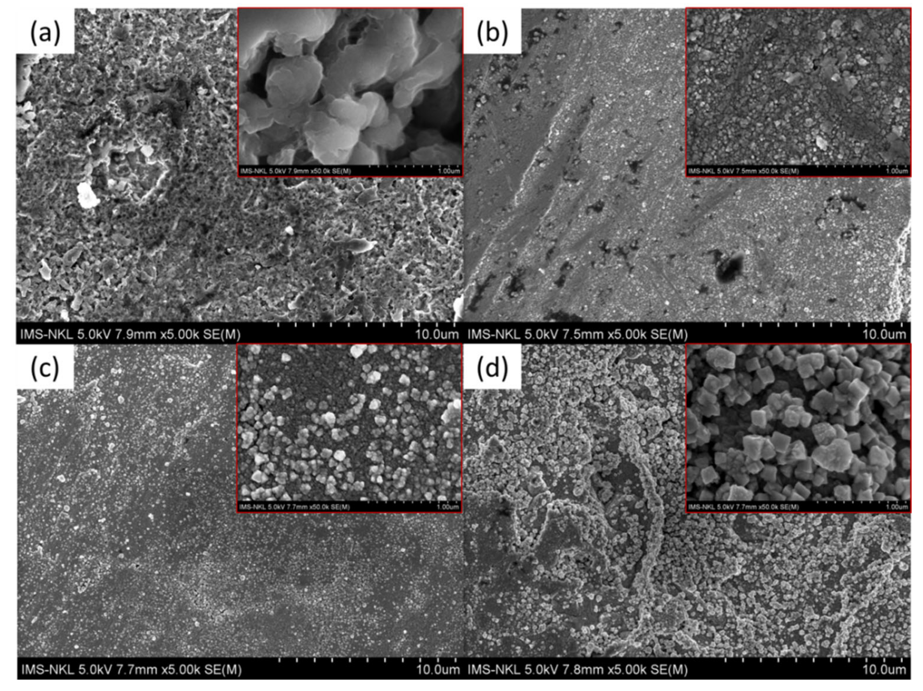 Coatings 12 01680 g002