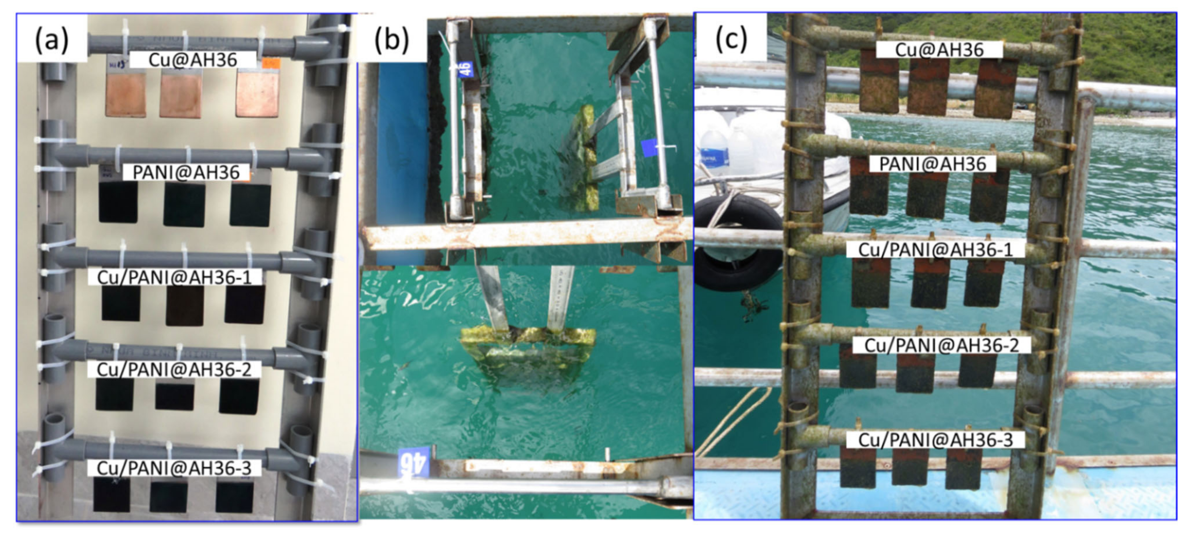 Coatings 12 01680 g007