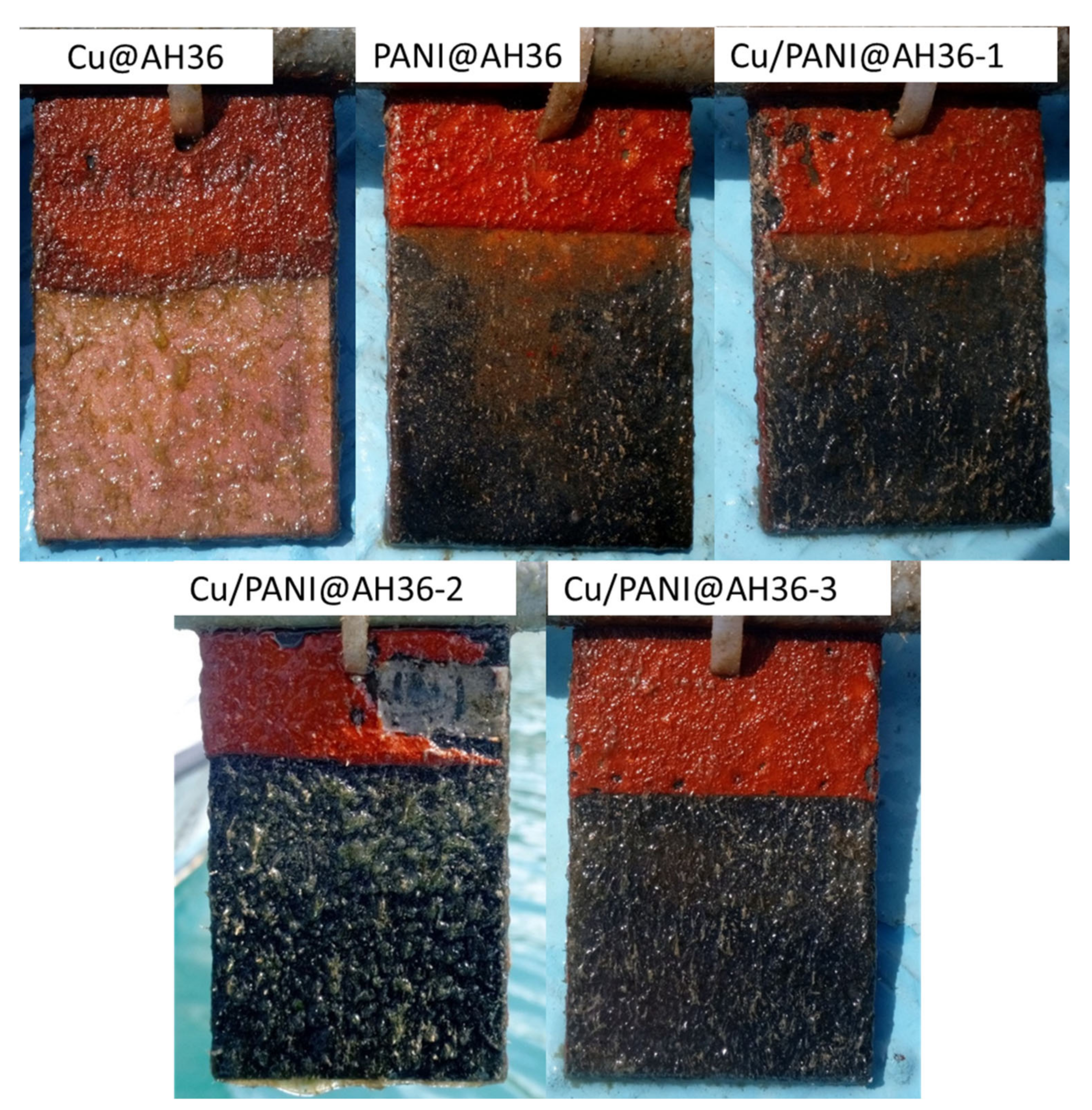 Coatings 12 01680 g008