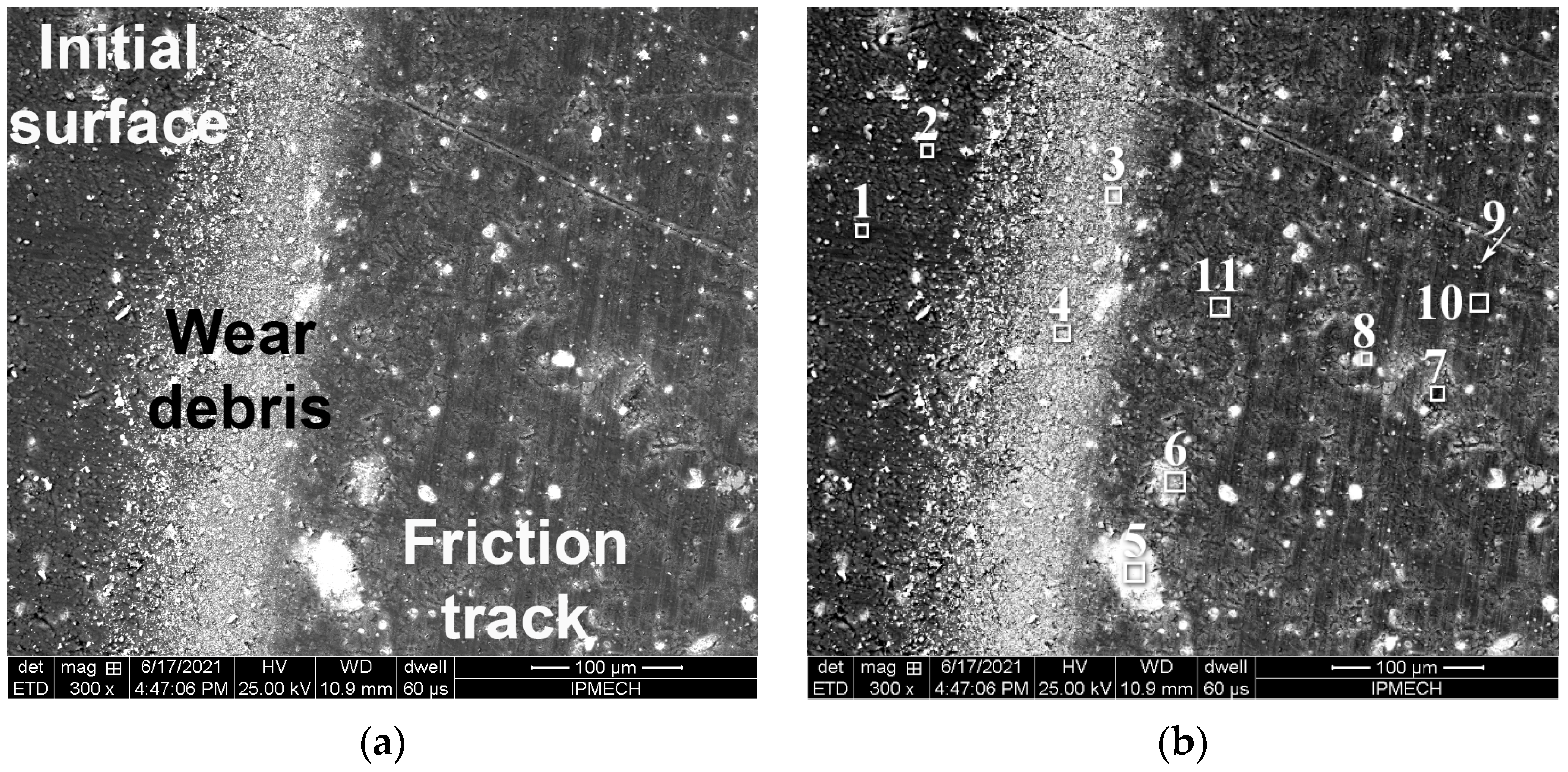Coatings 12 01685 g004a