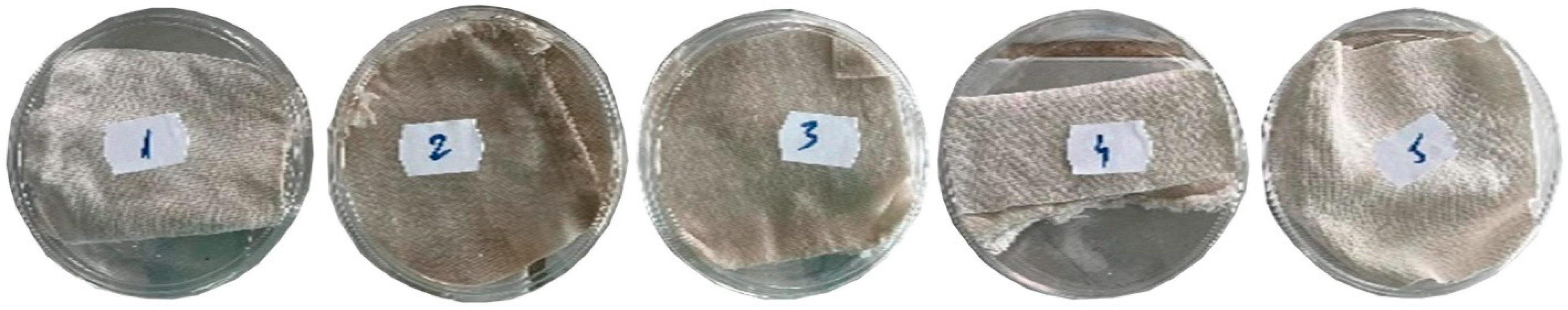 Coatings 12 01688 g002 Coatings 12 01688 g002