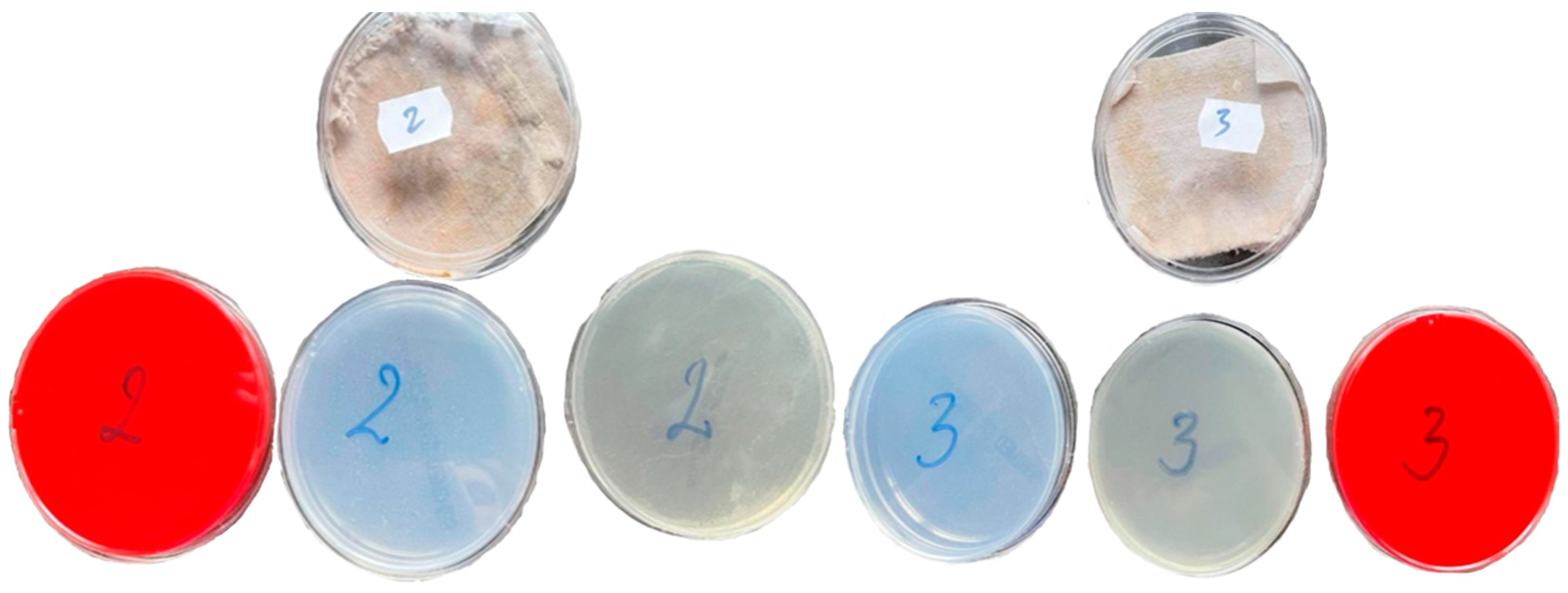 Coatings 12 01688 g005 Coatings 12 01688 g005