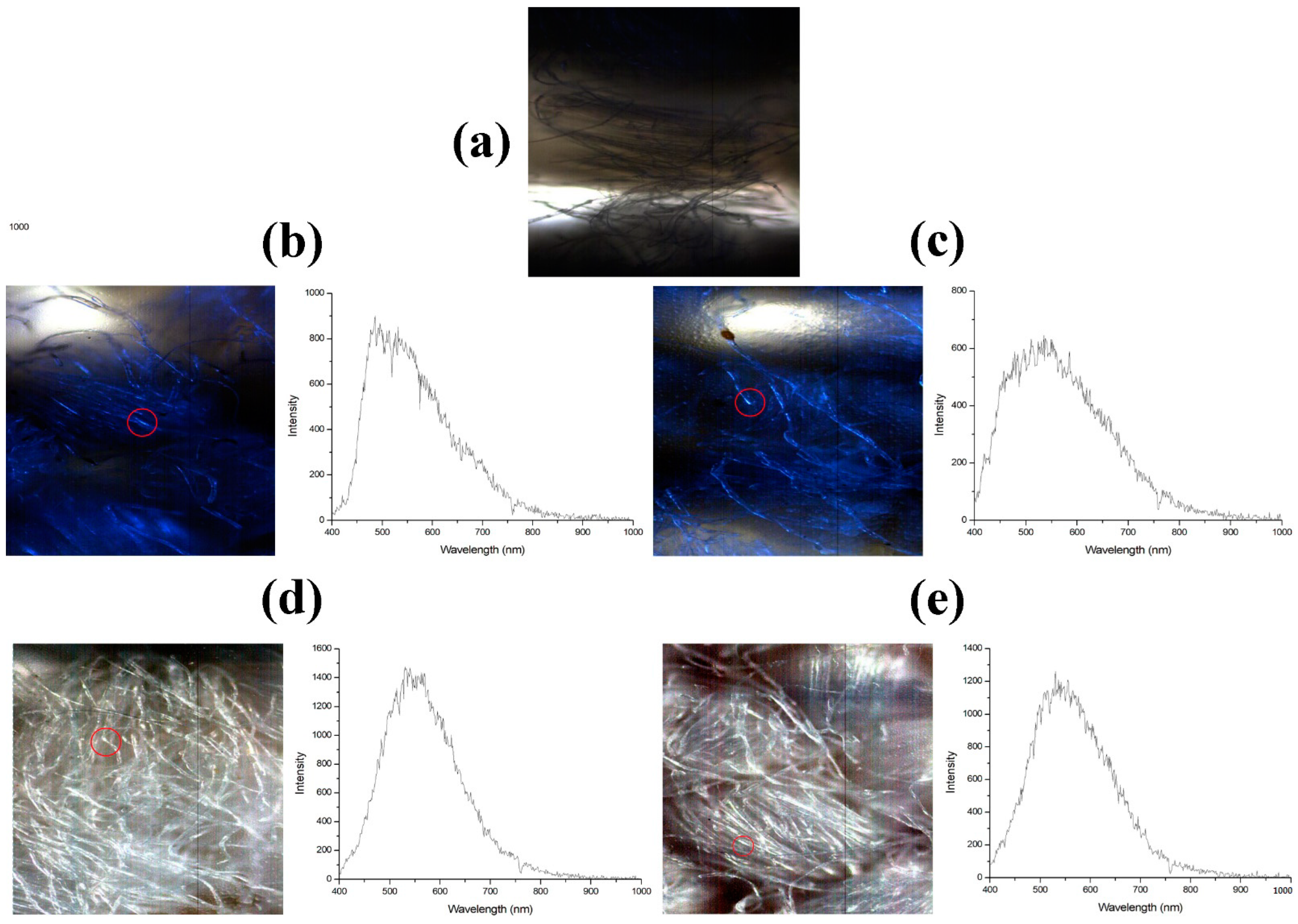 Coatings 12 01688 g006 Coatings 12 01688 g006