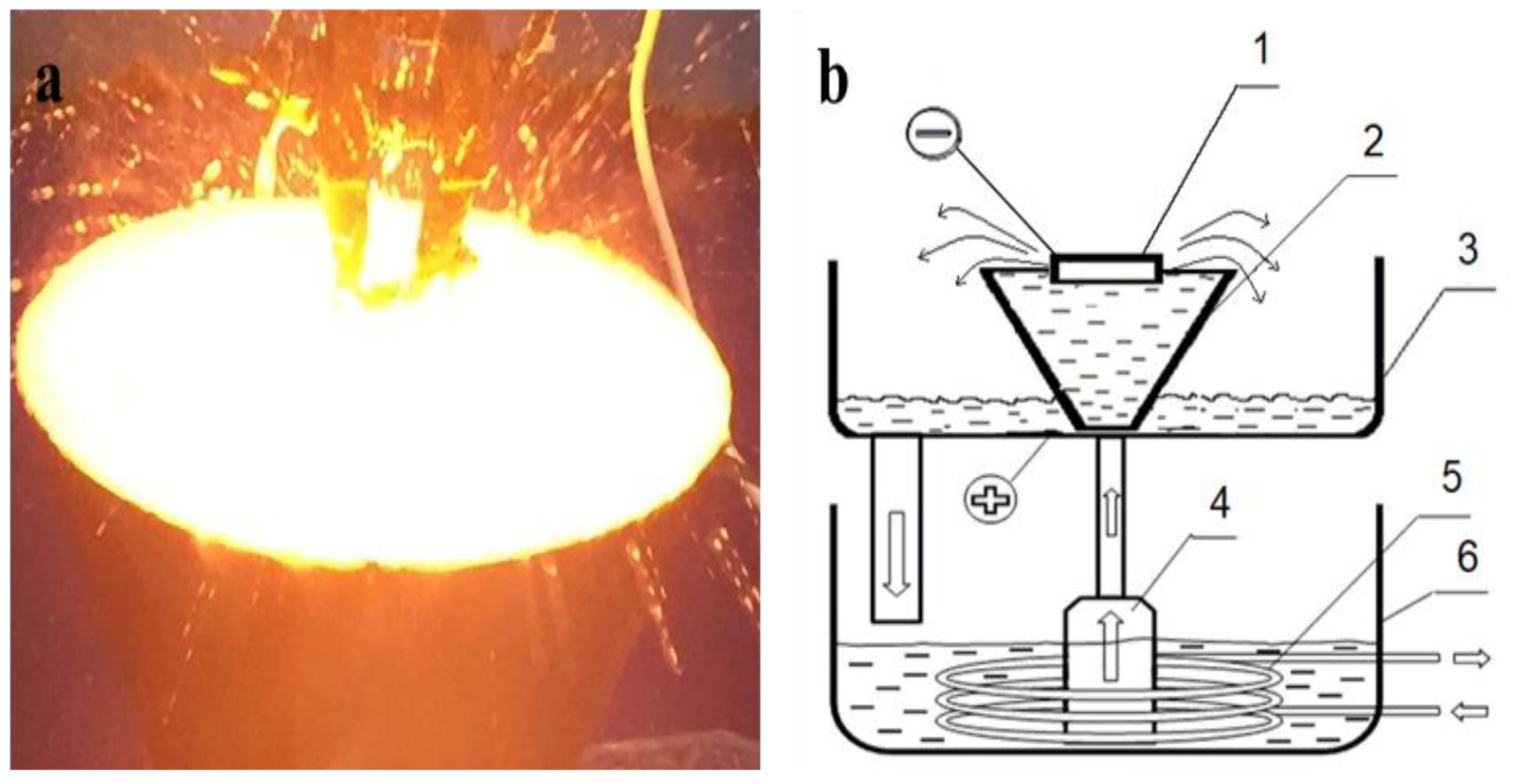 Coatings 12 01696 g001