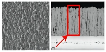 Coatings 12 01724 i006 Coatings 12 01724 i006
