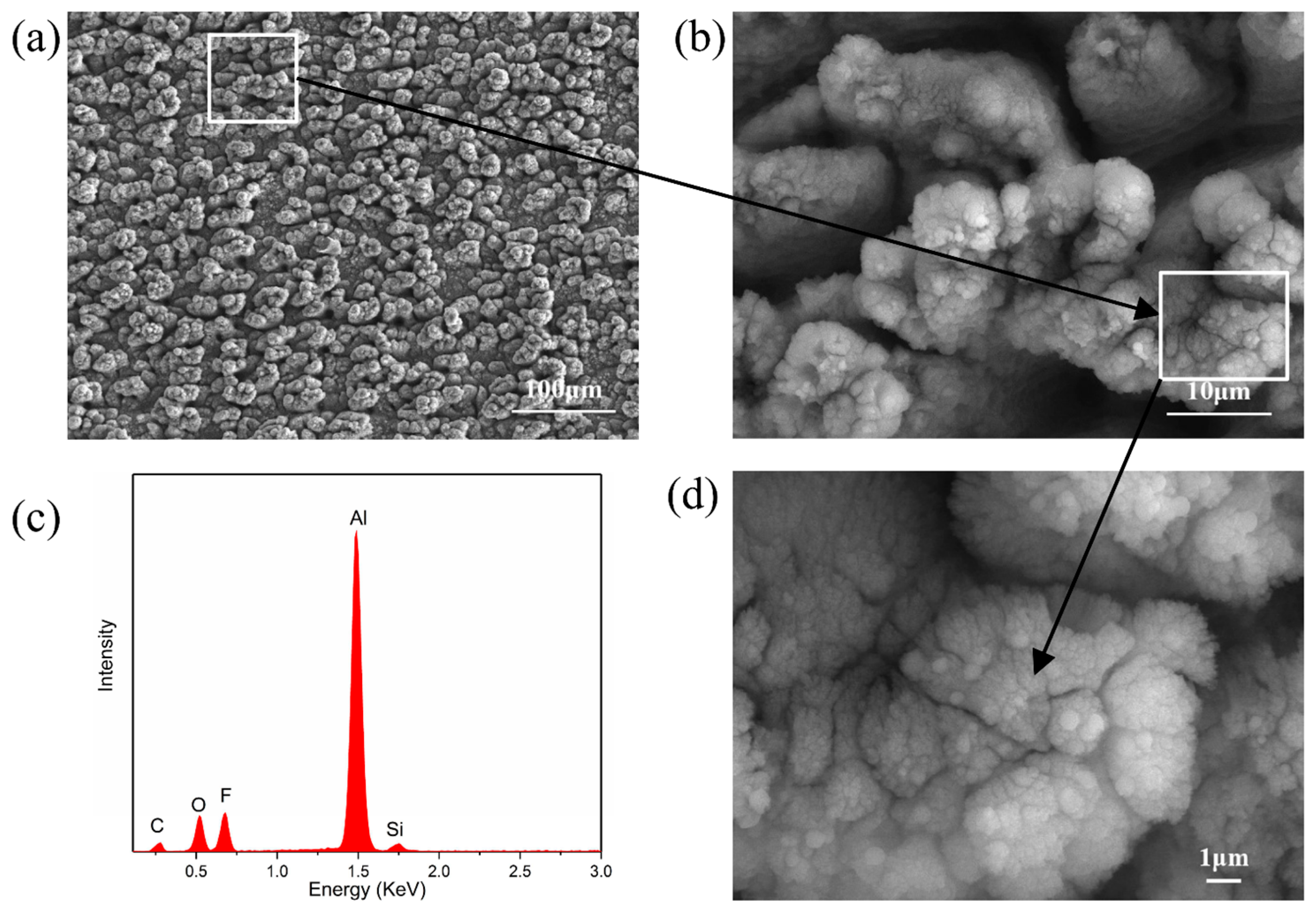 Coatings 12 01736 g002