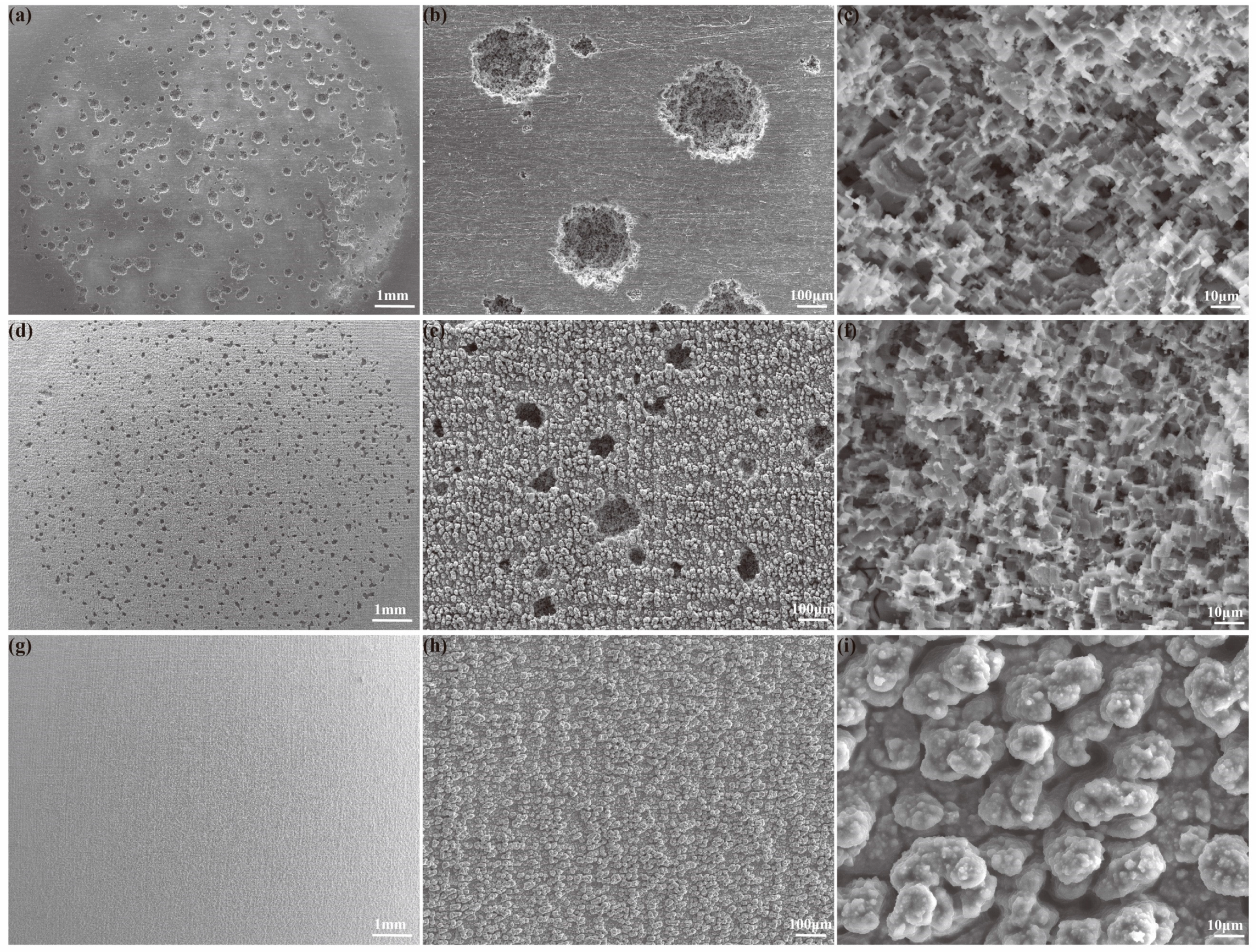 Coatings 12 01736 g011