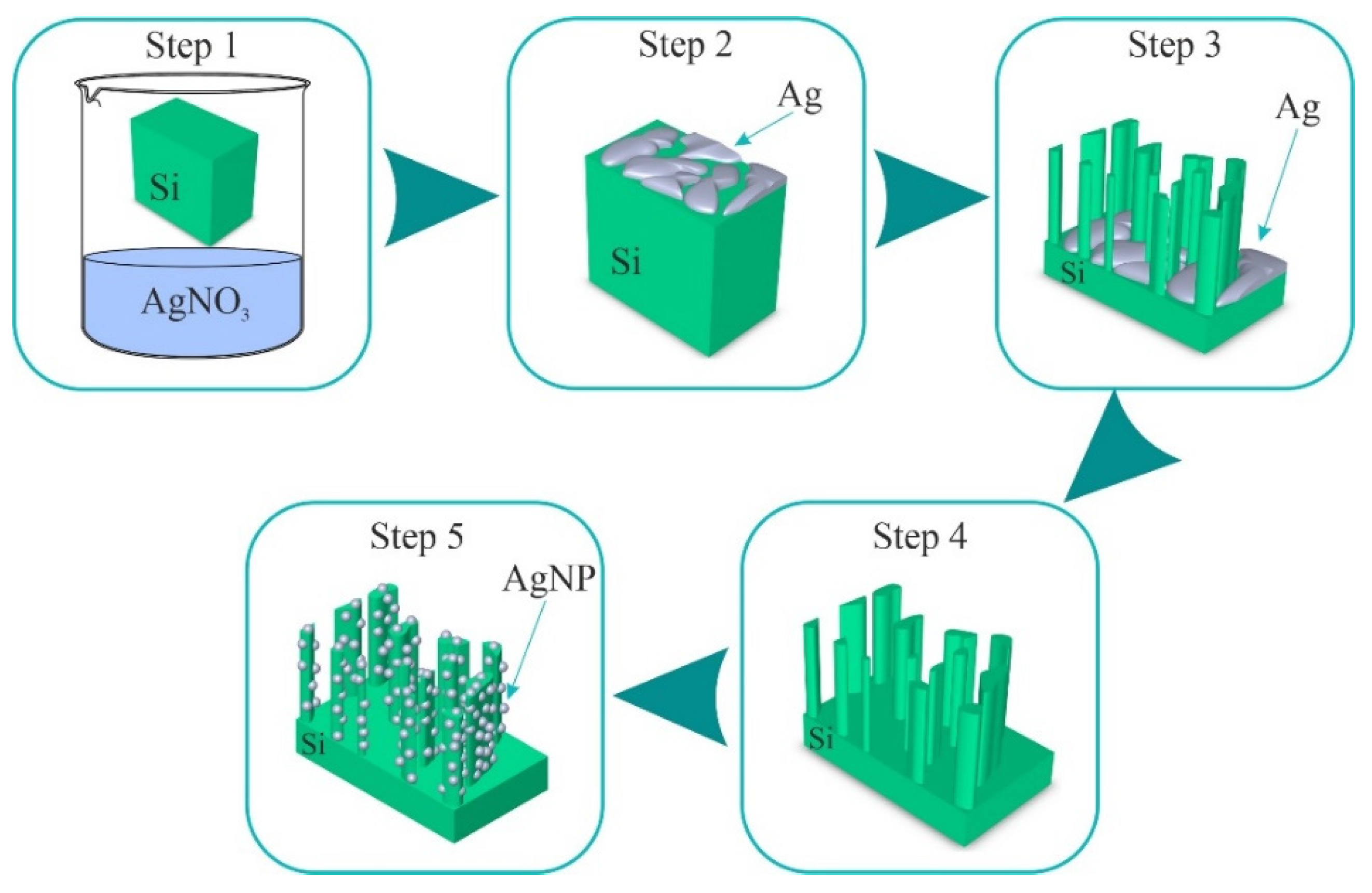 Coatings 12 01748 g001