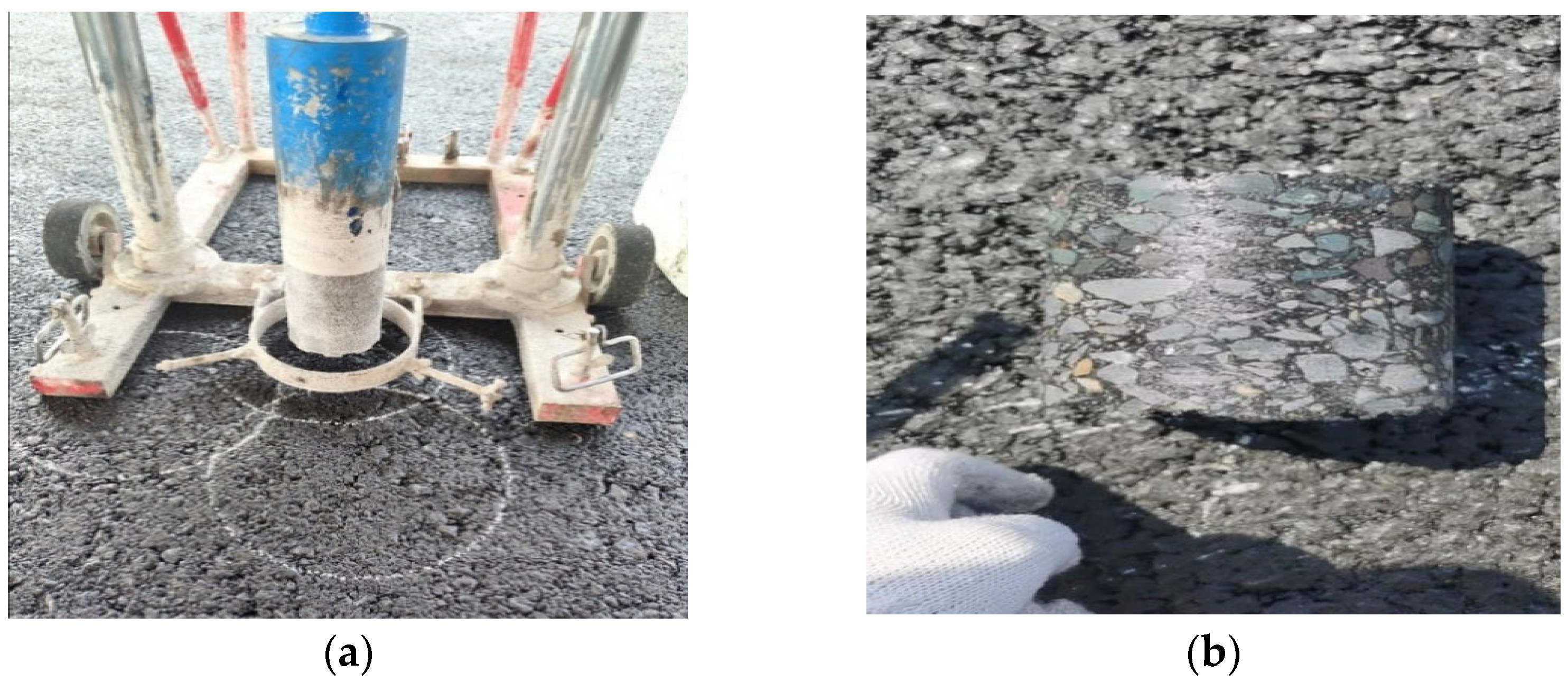 Coatings 12 01751 g004