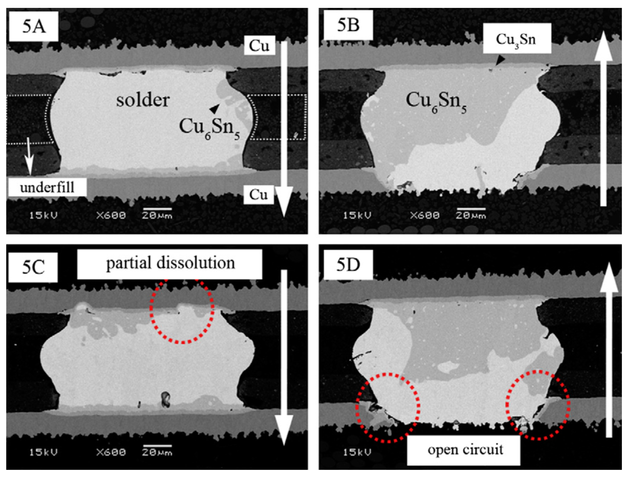 Coatings 12 01752 g009
