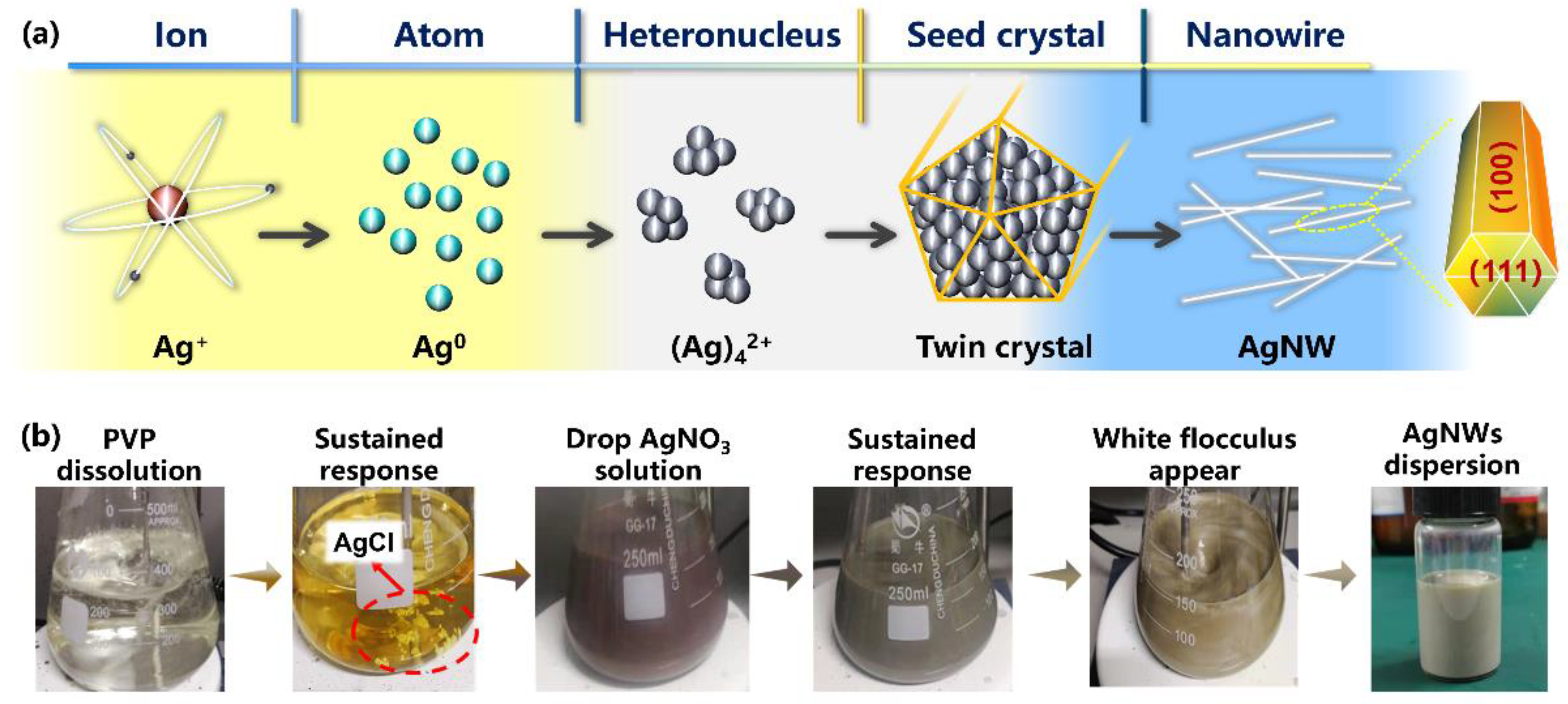Coatings 12 01756 g003