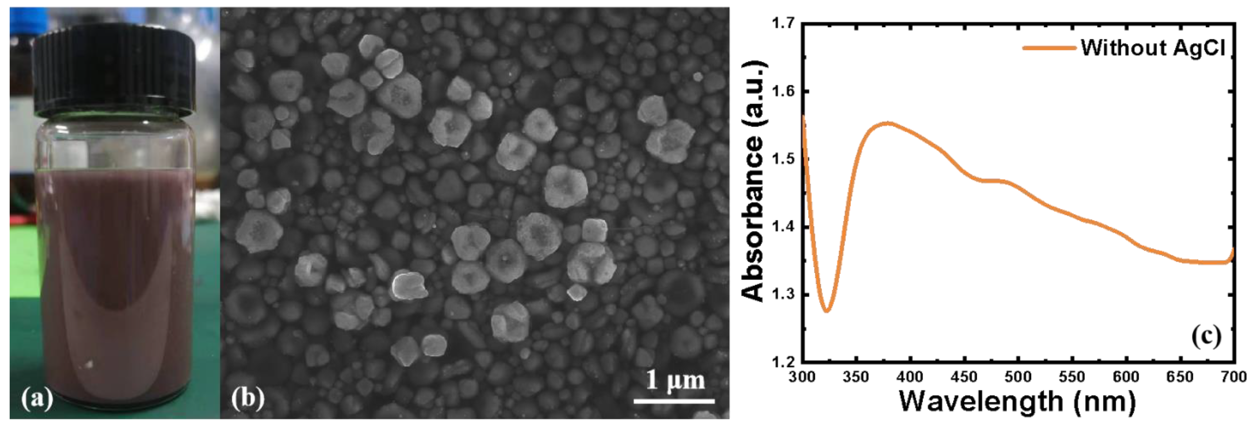 Coatings 12 01756 g004