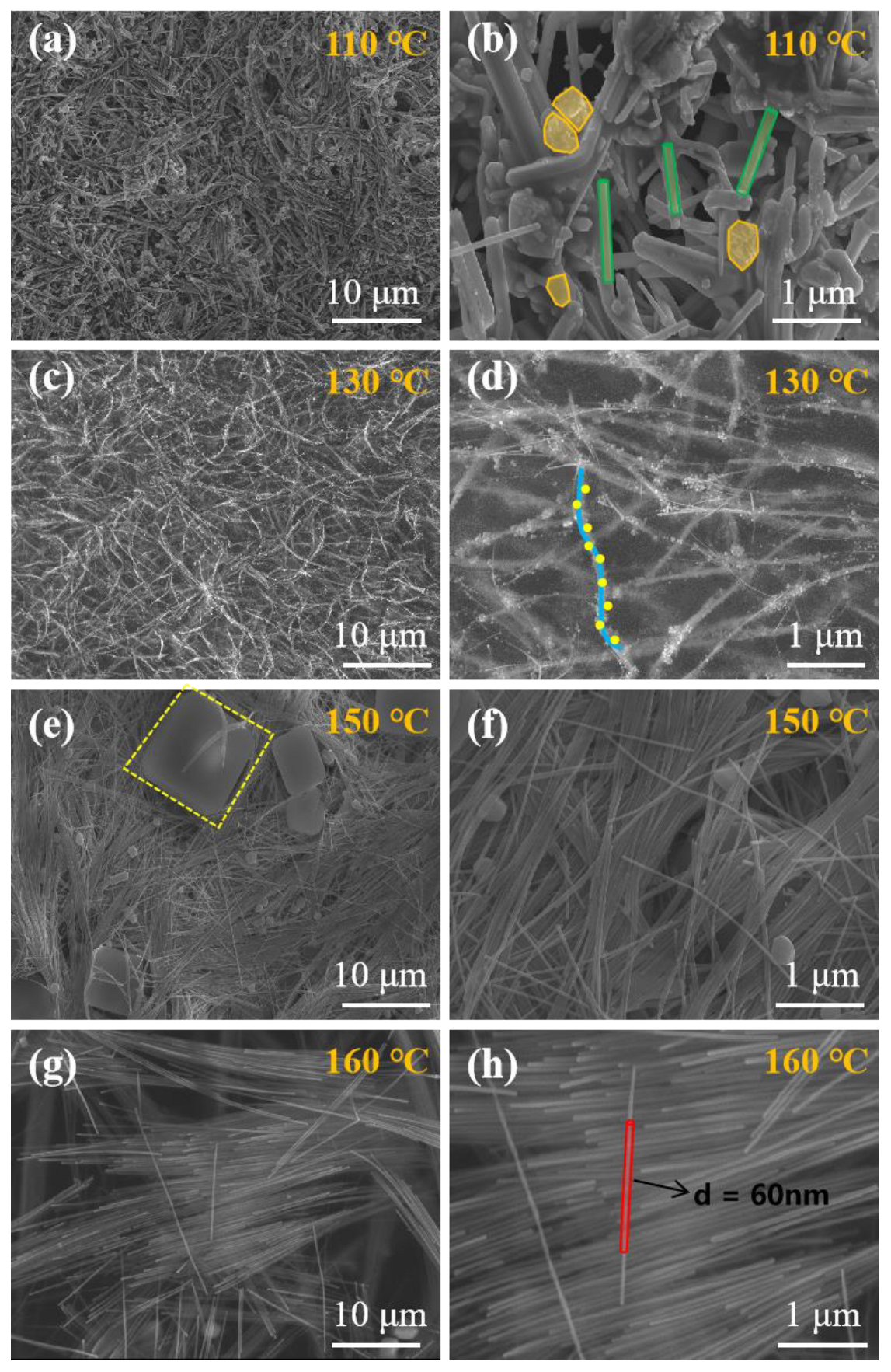Coatings 12 01756 g006