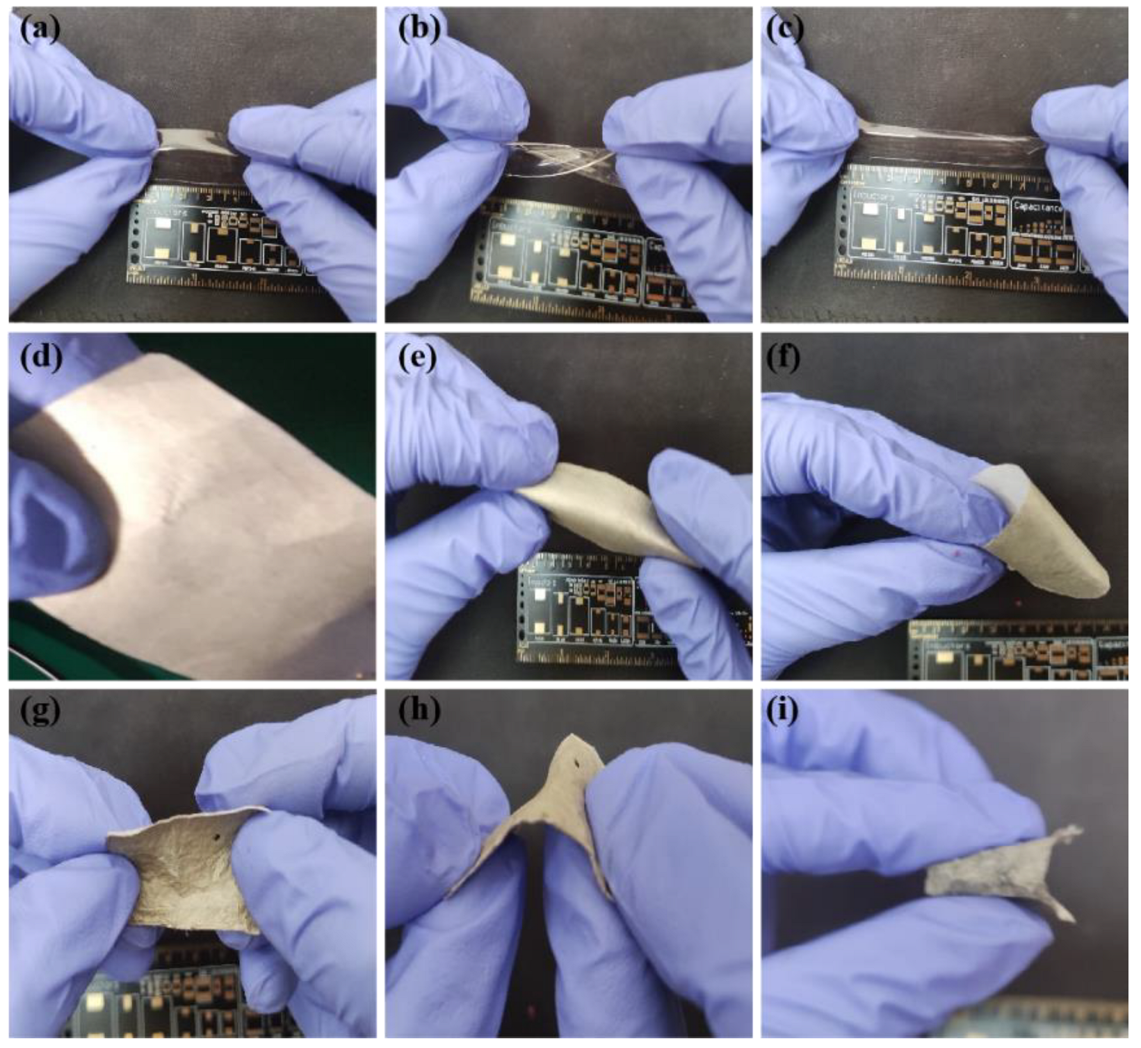 Coatings 12 01756 g008