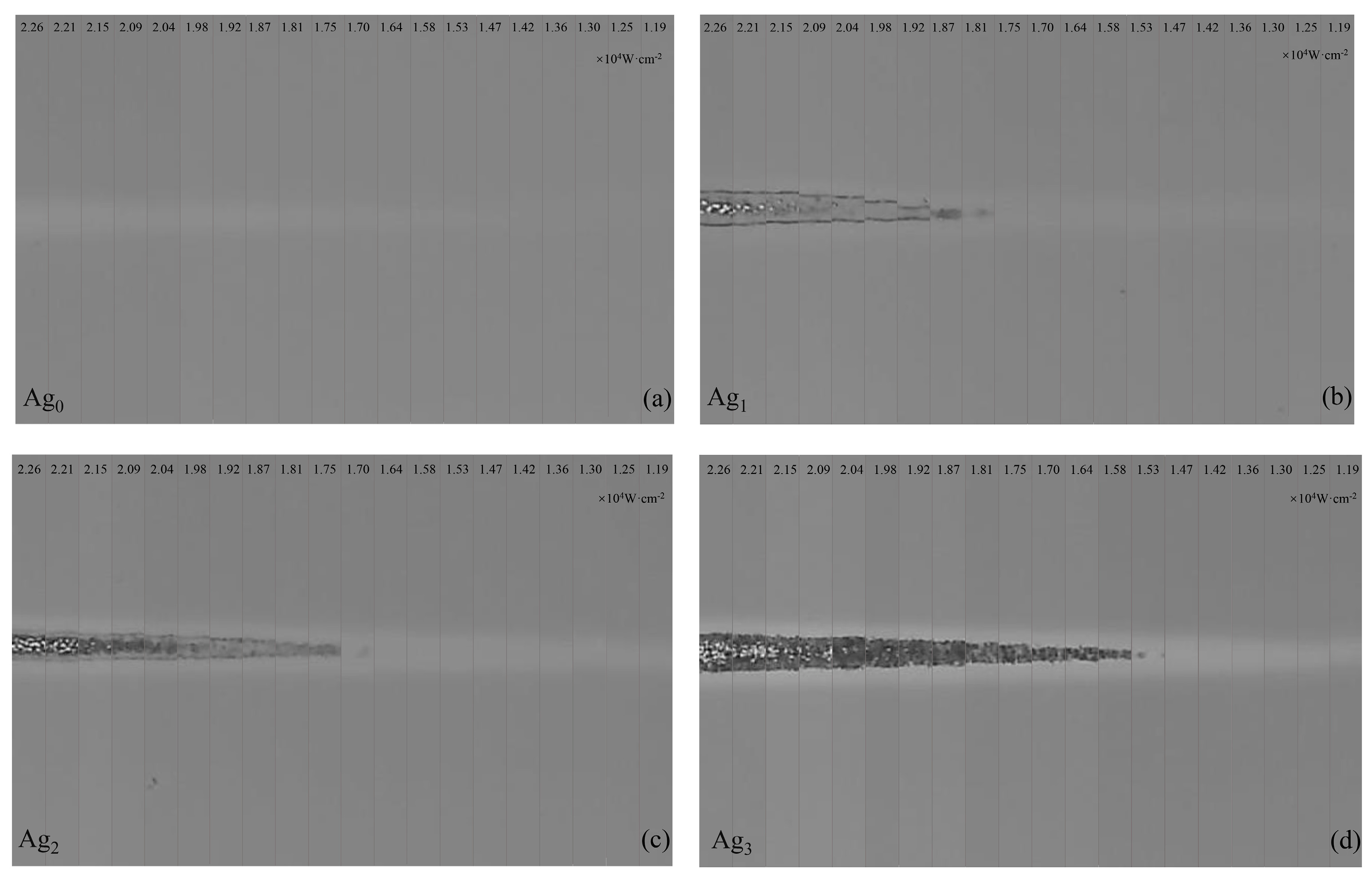 Coatings 12 01760 g004