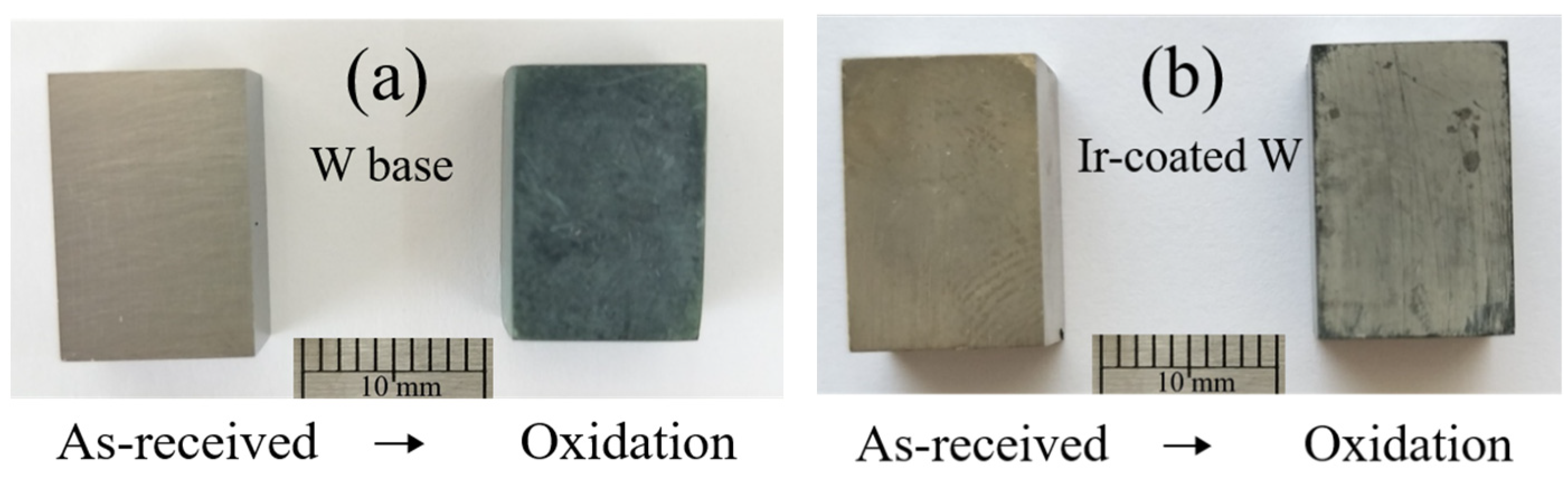 Coatings 12 01761 g004