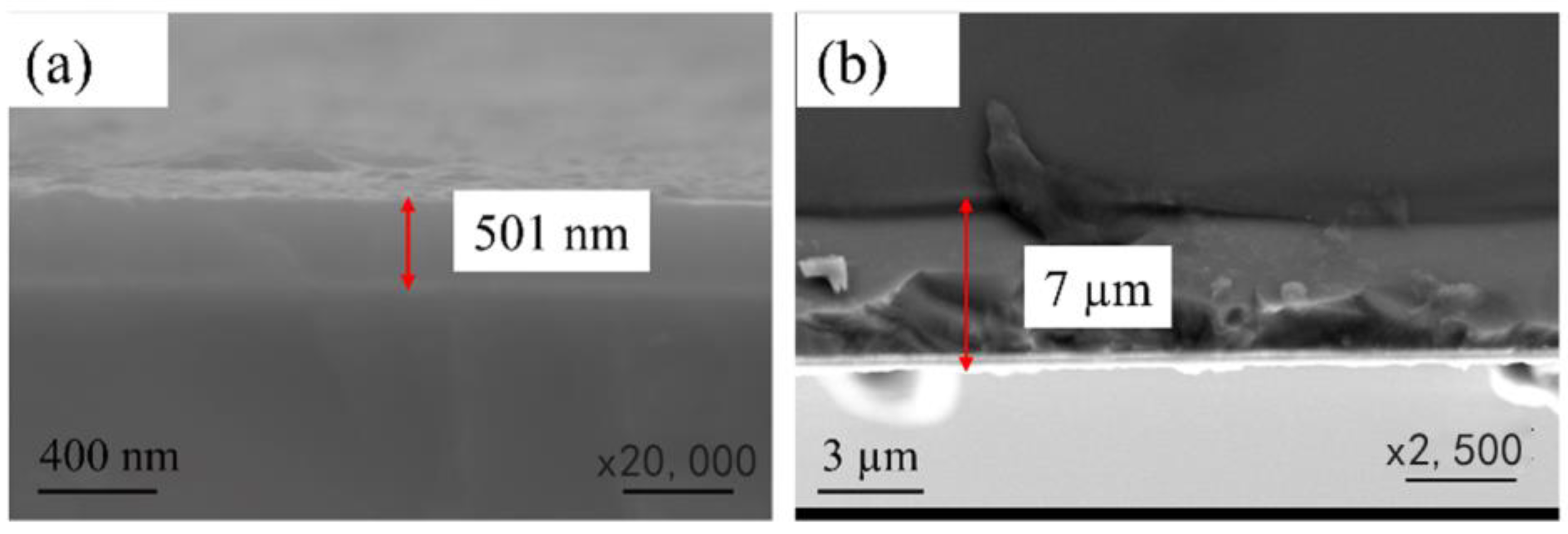 Coatings 12 01776 g003