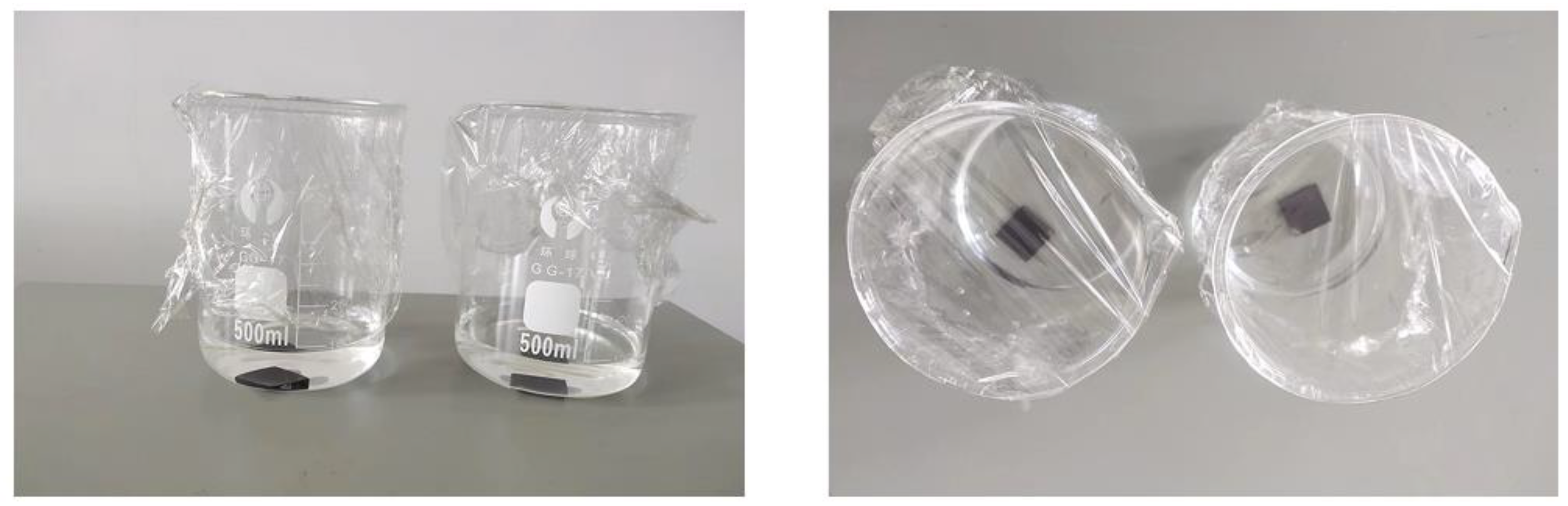 Coatings 12 01776 g005