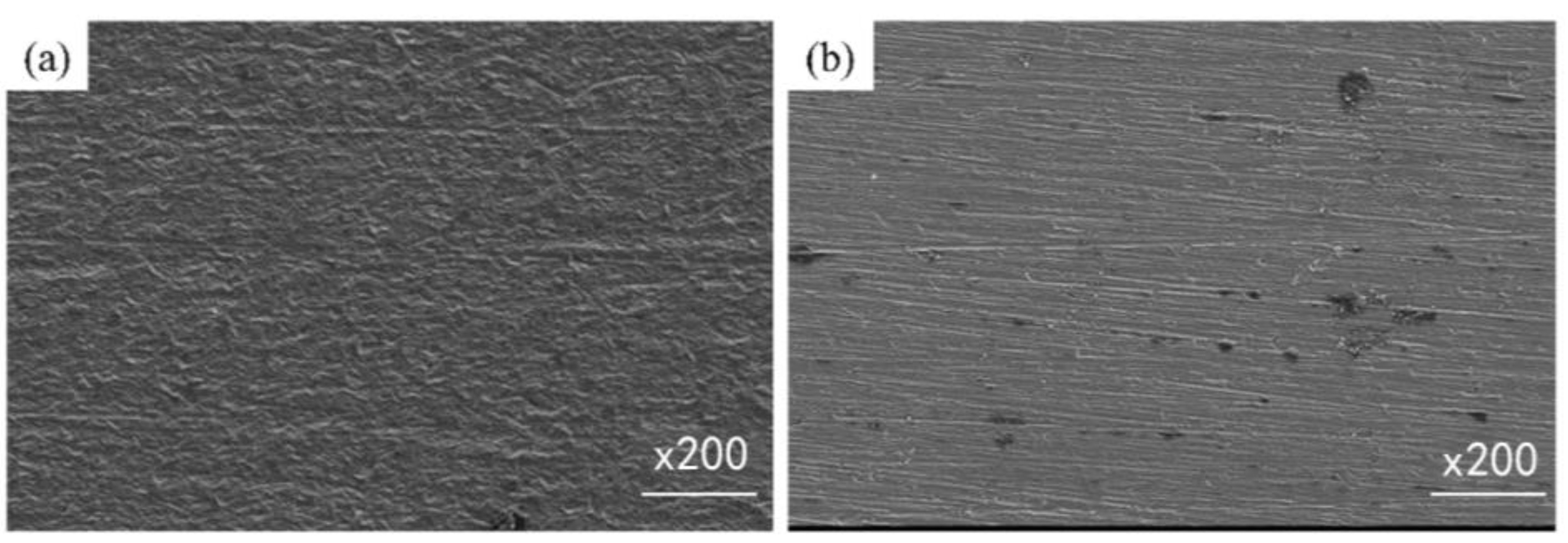Coatings 12 01776 g006