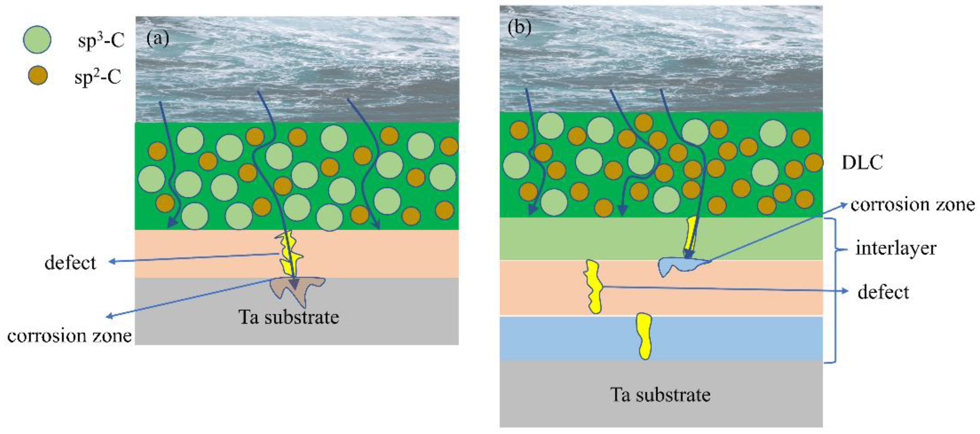Coatings 12 01776 g014