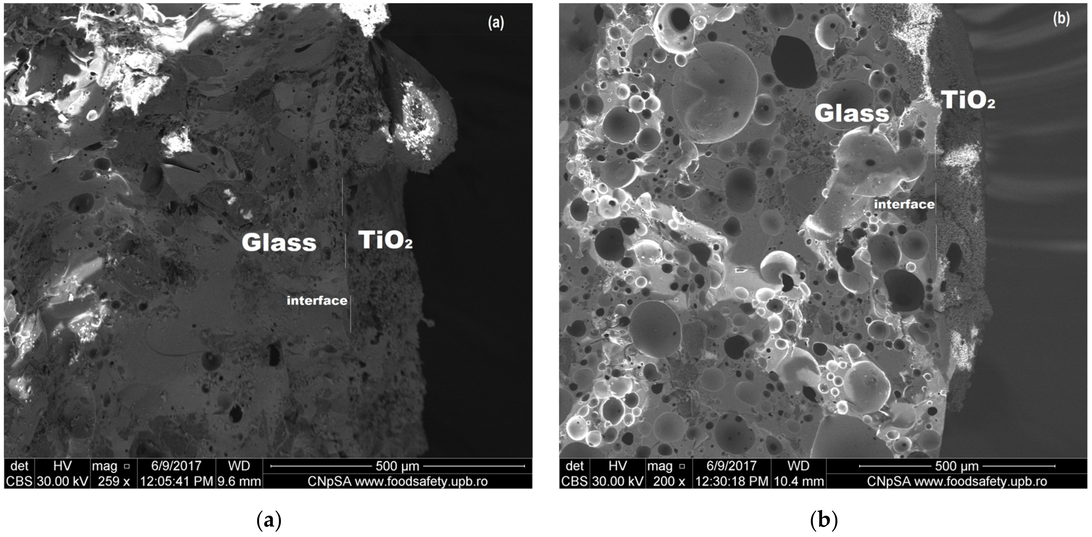 Coatings 12 01794 g003 Coatings 12 01794 g003