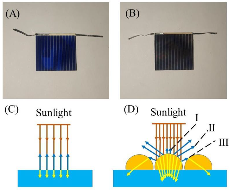 Coatings 12 01812 g007