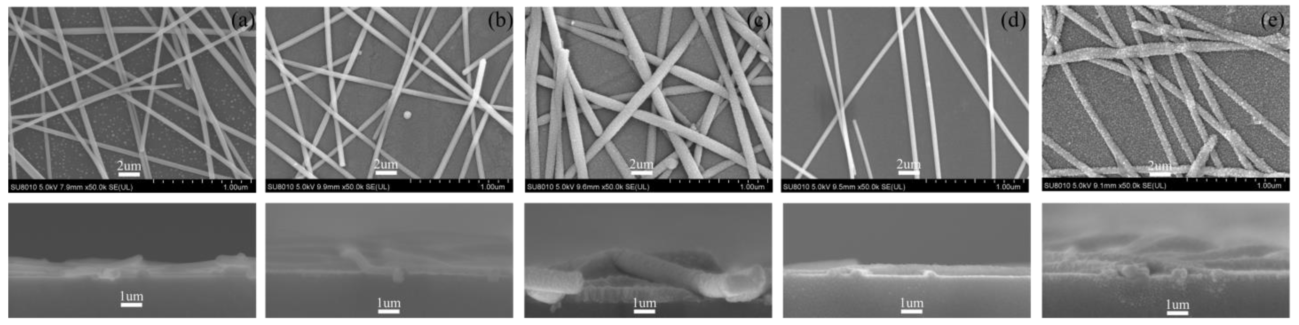 Coatings 12 01816 g004