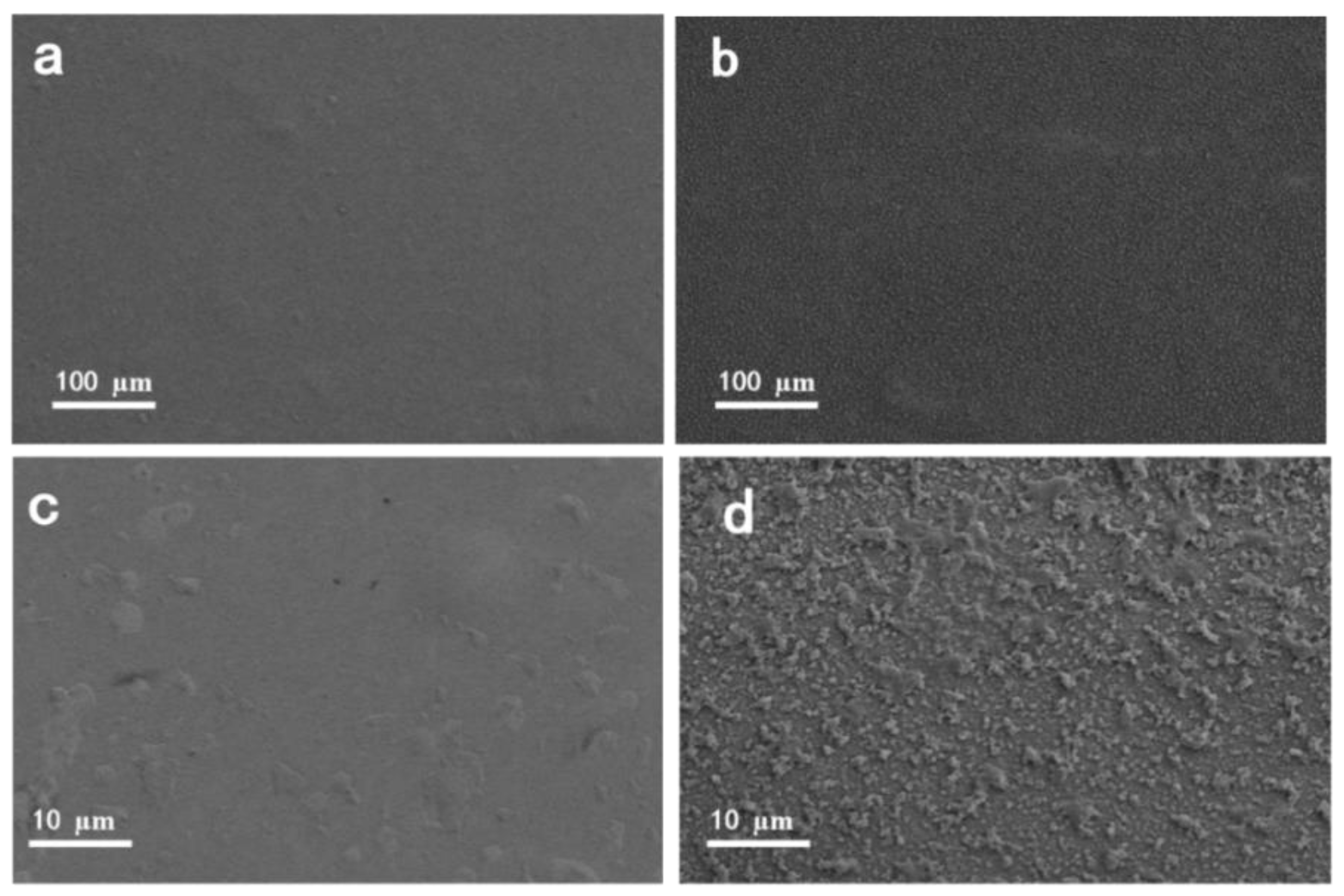 IP–ZrO2/BC Nanofiltration Membranes: Preparation and Properties