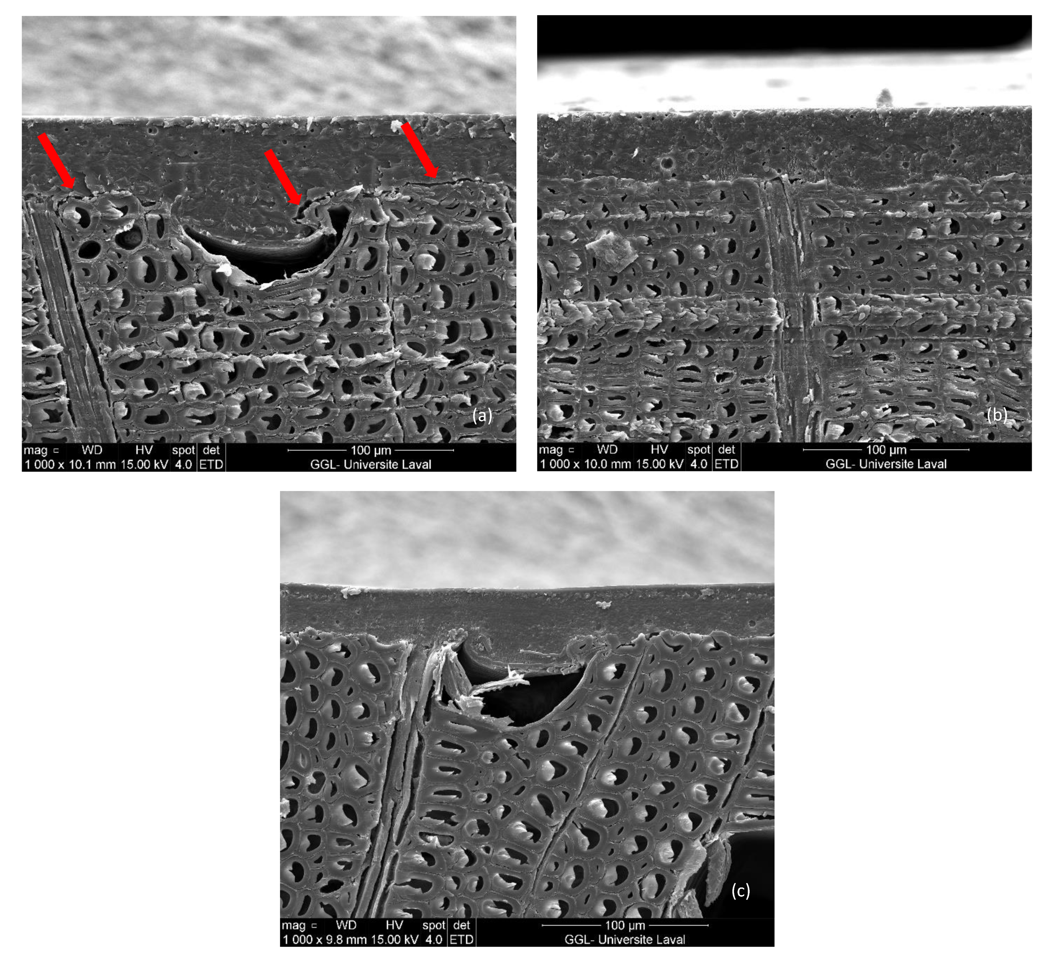 Coatings 12 01850 g009 Coatings 12 01850 g009