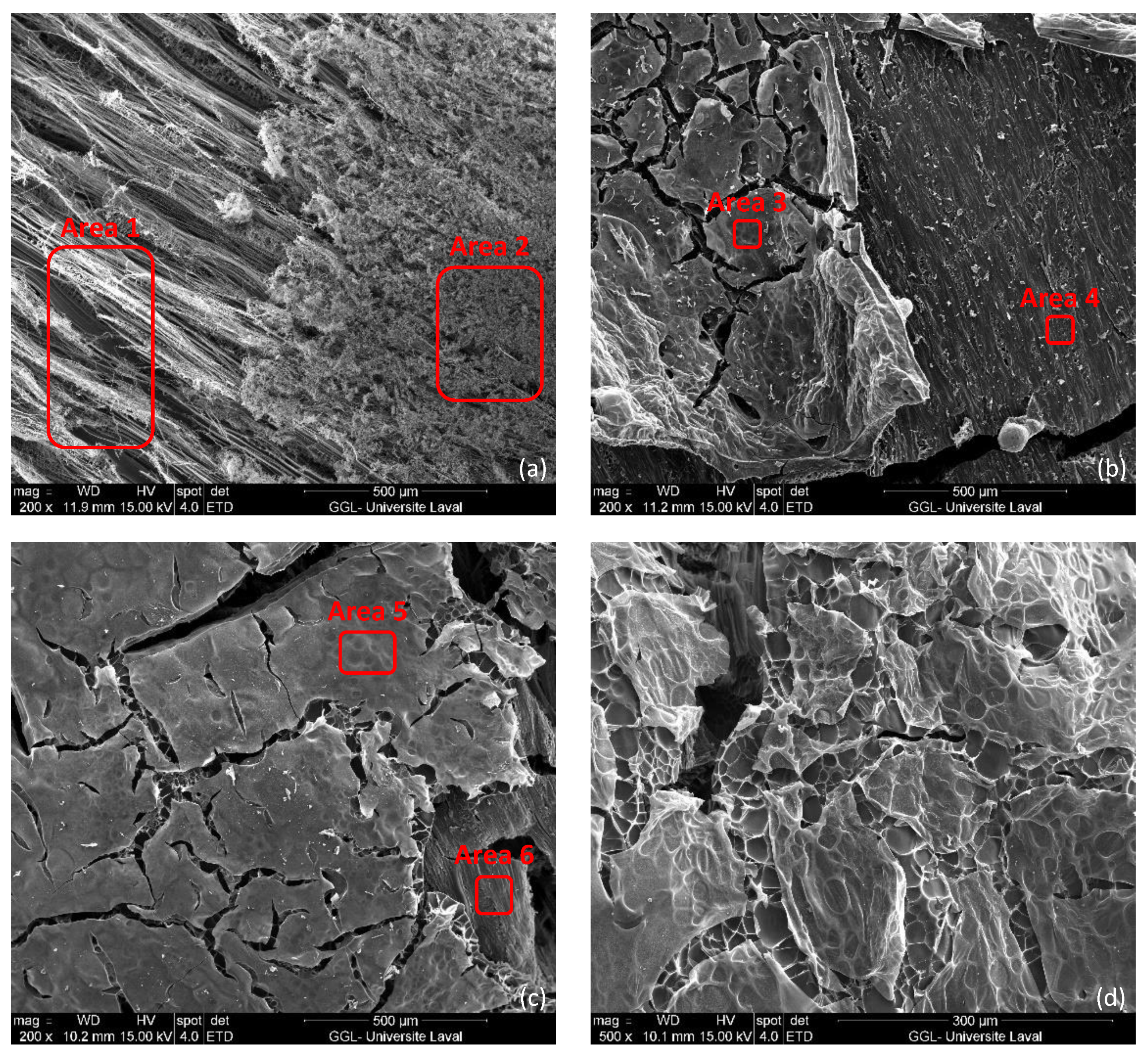 Coatings 12 01850 g011 Coatings 12 01850 g011