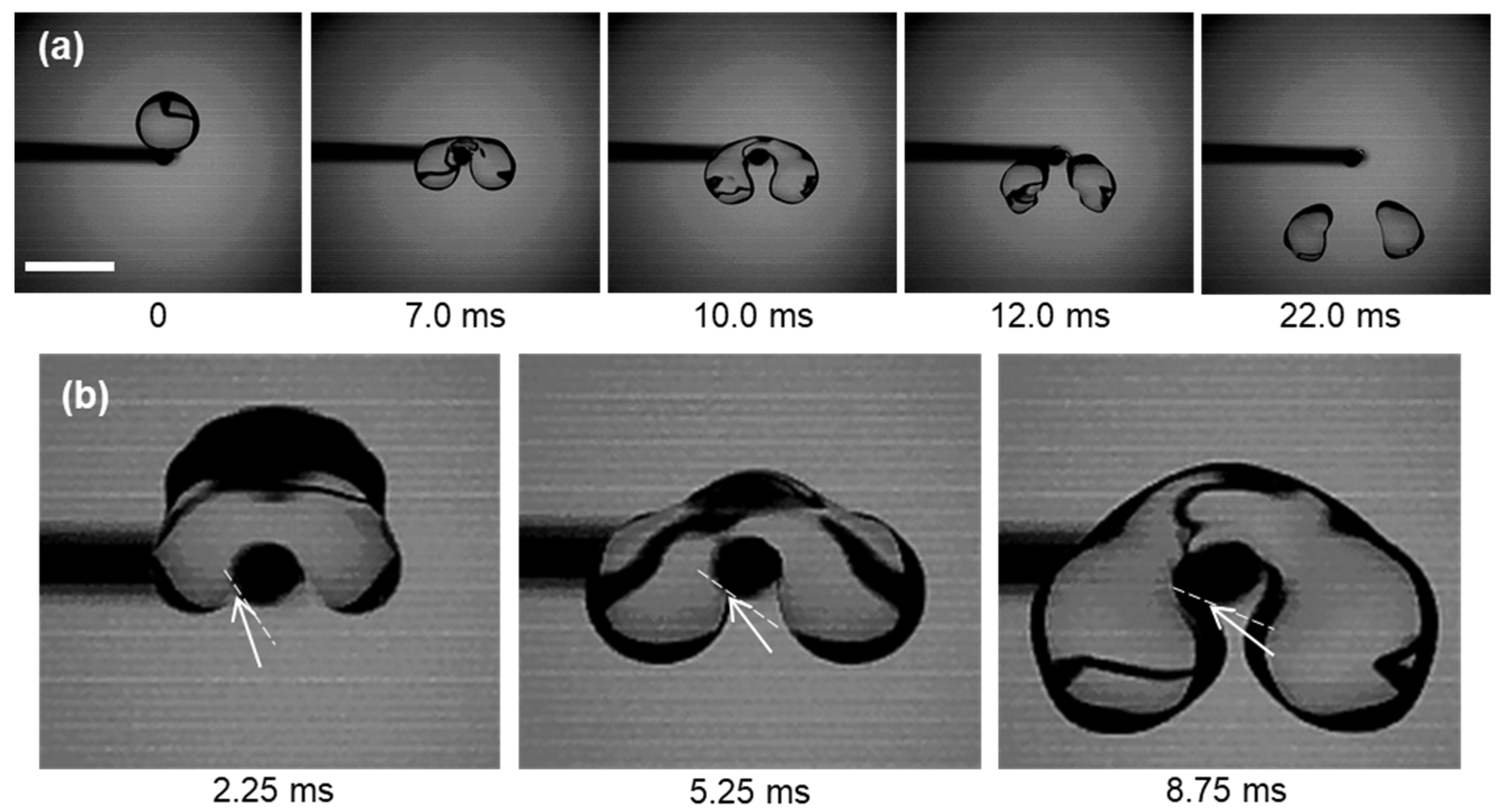 Coatings 12 01866 g004