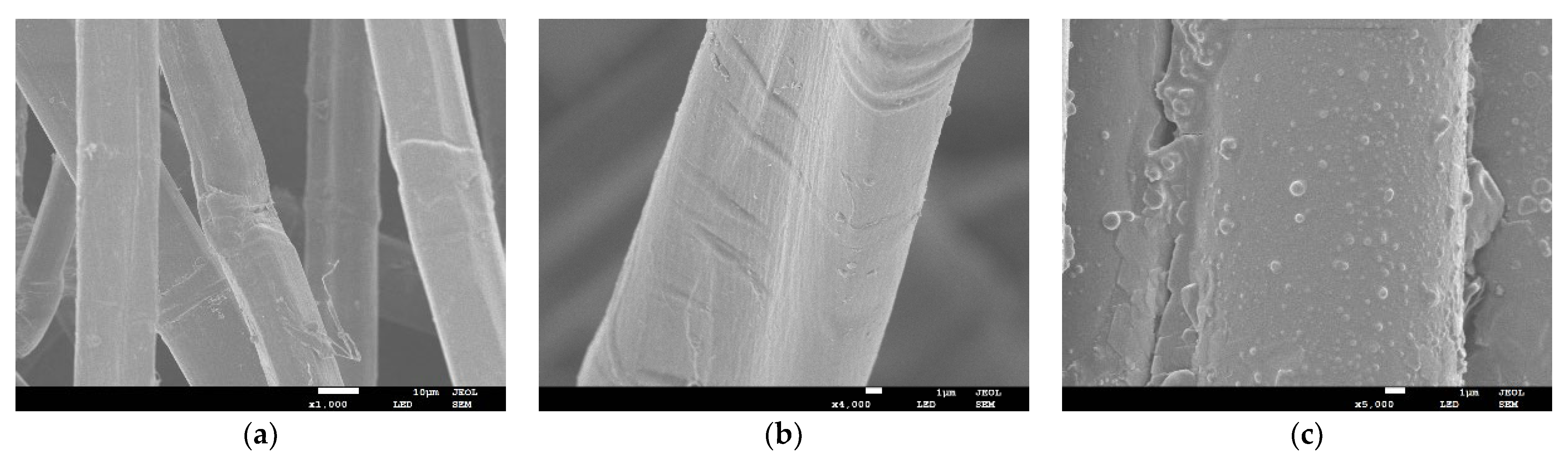 hemp fiber microscopic