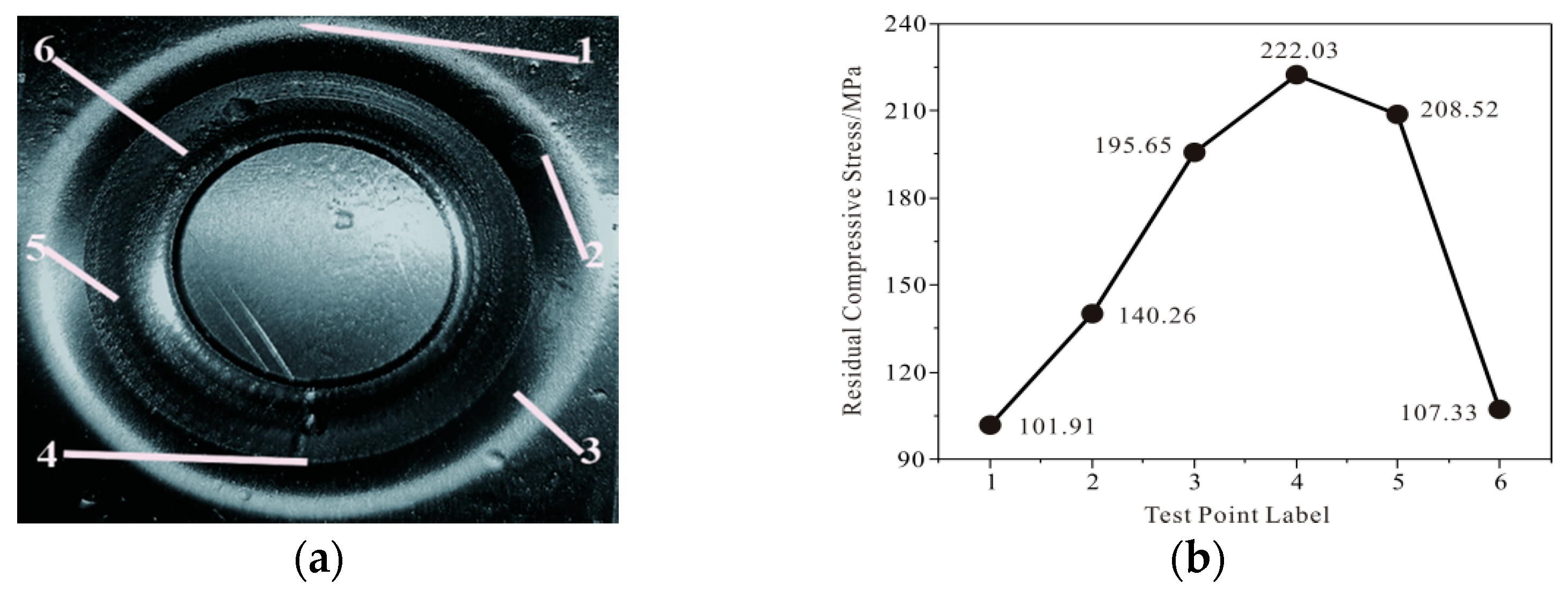 Coatings 12 01914 g005