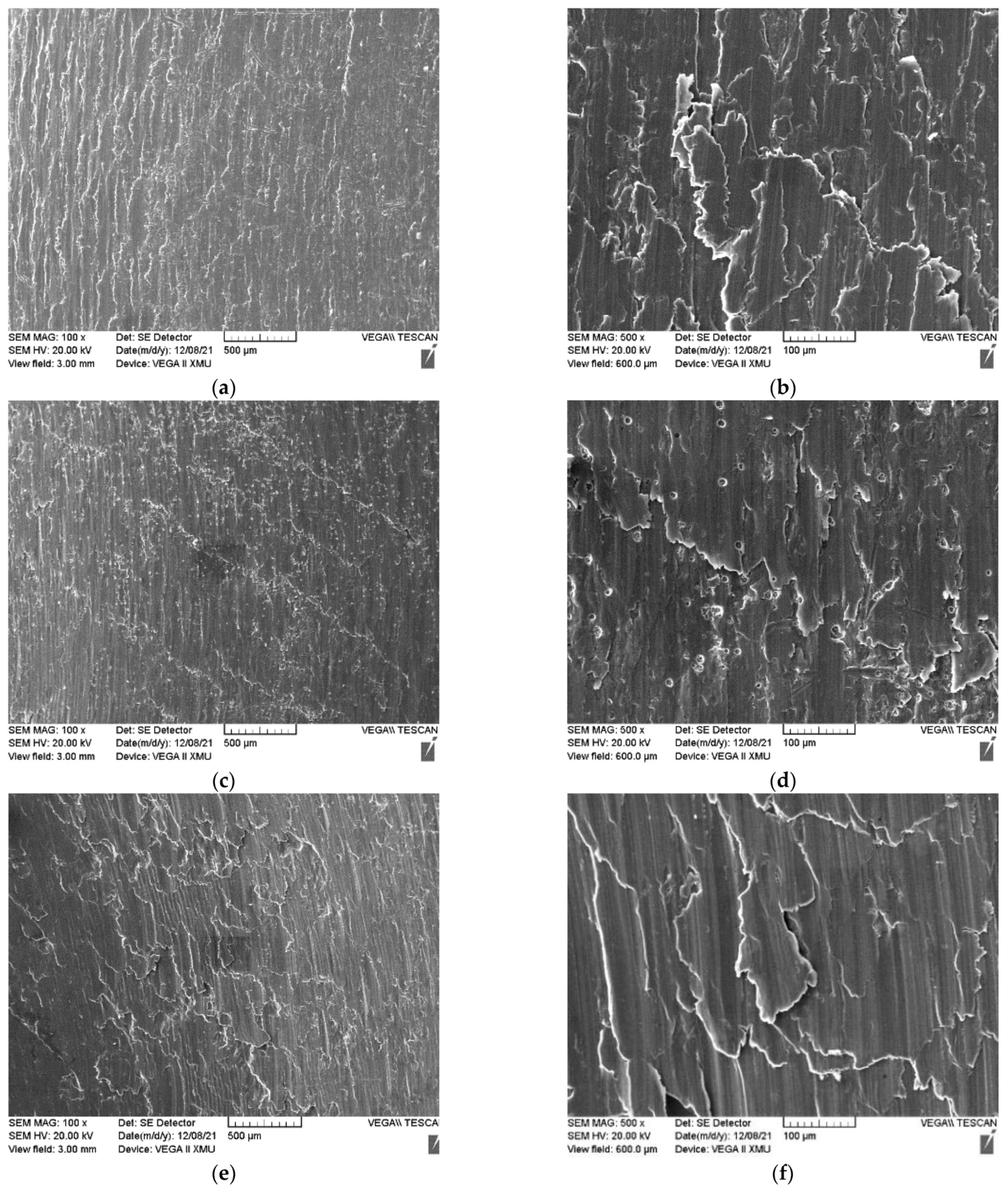 Coatings 12 01914 g006
