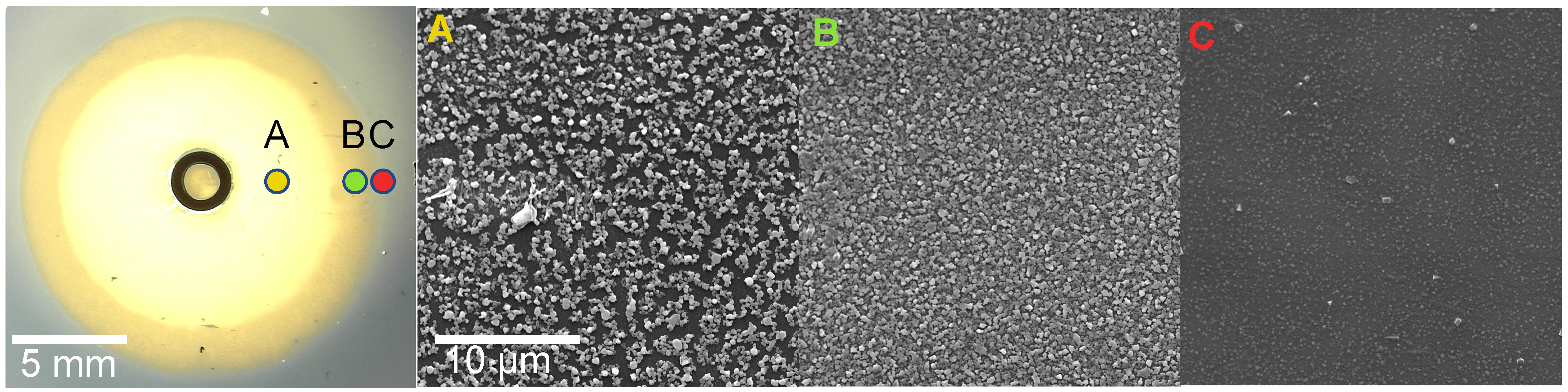 Coatings 12 01915 g008 Coatings 12 01915 g008