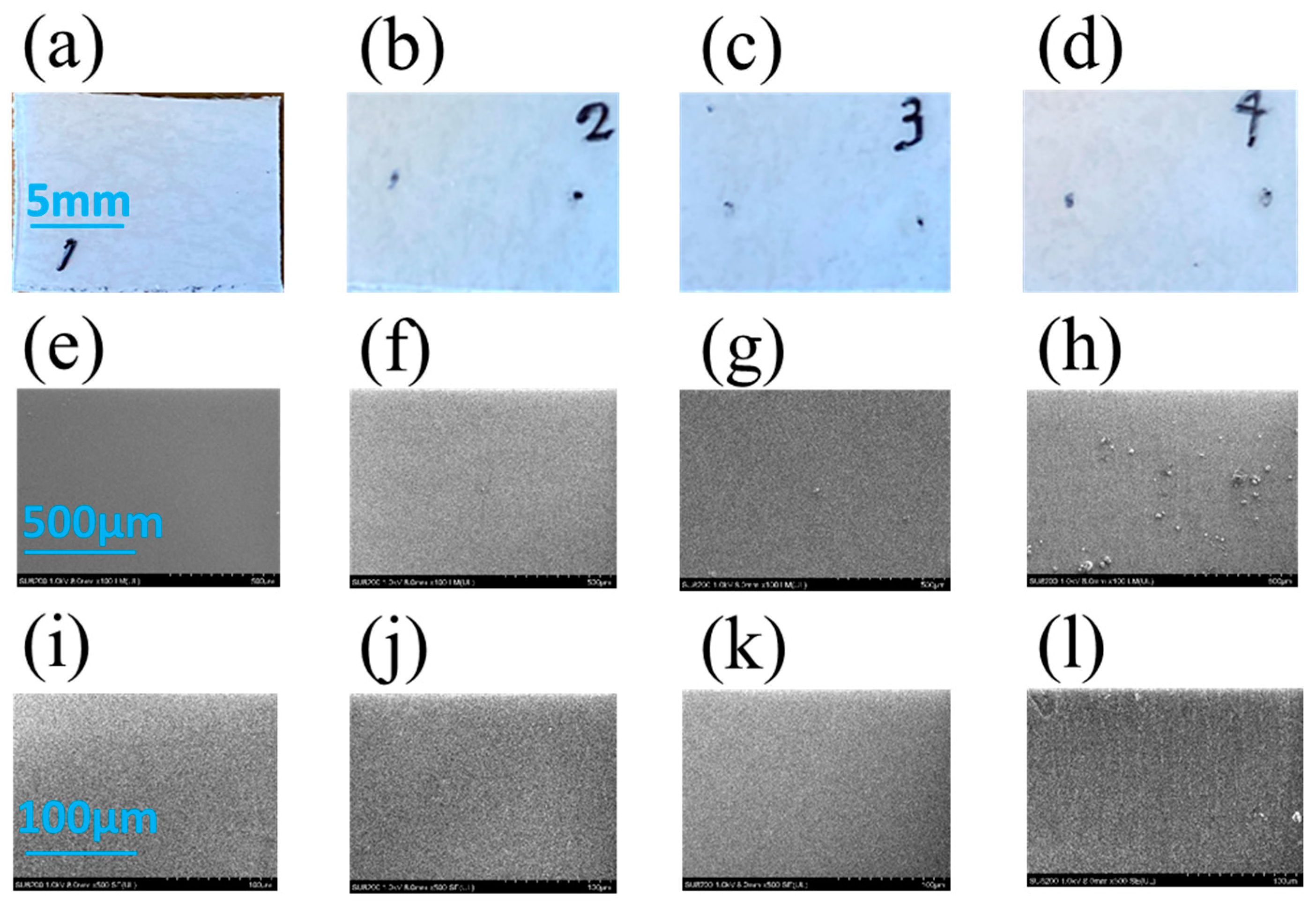 Coatings 12 01938 g004a