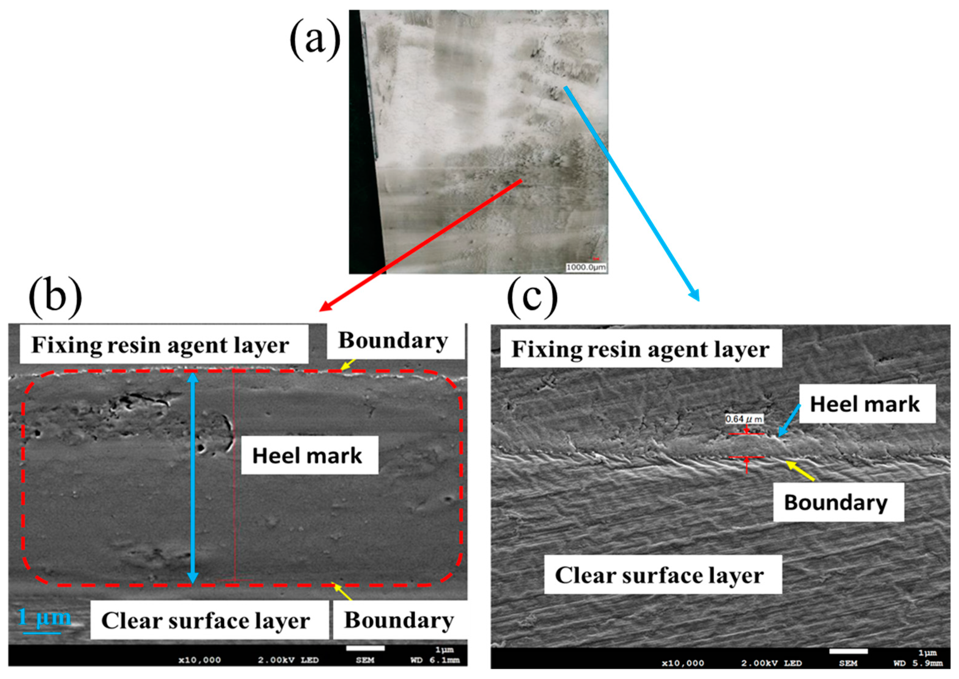 Coatings 12 01938 g005
