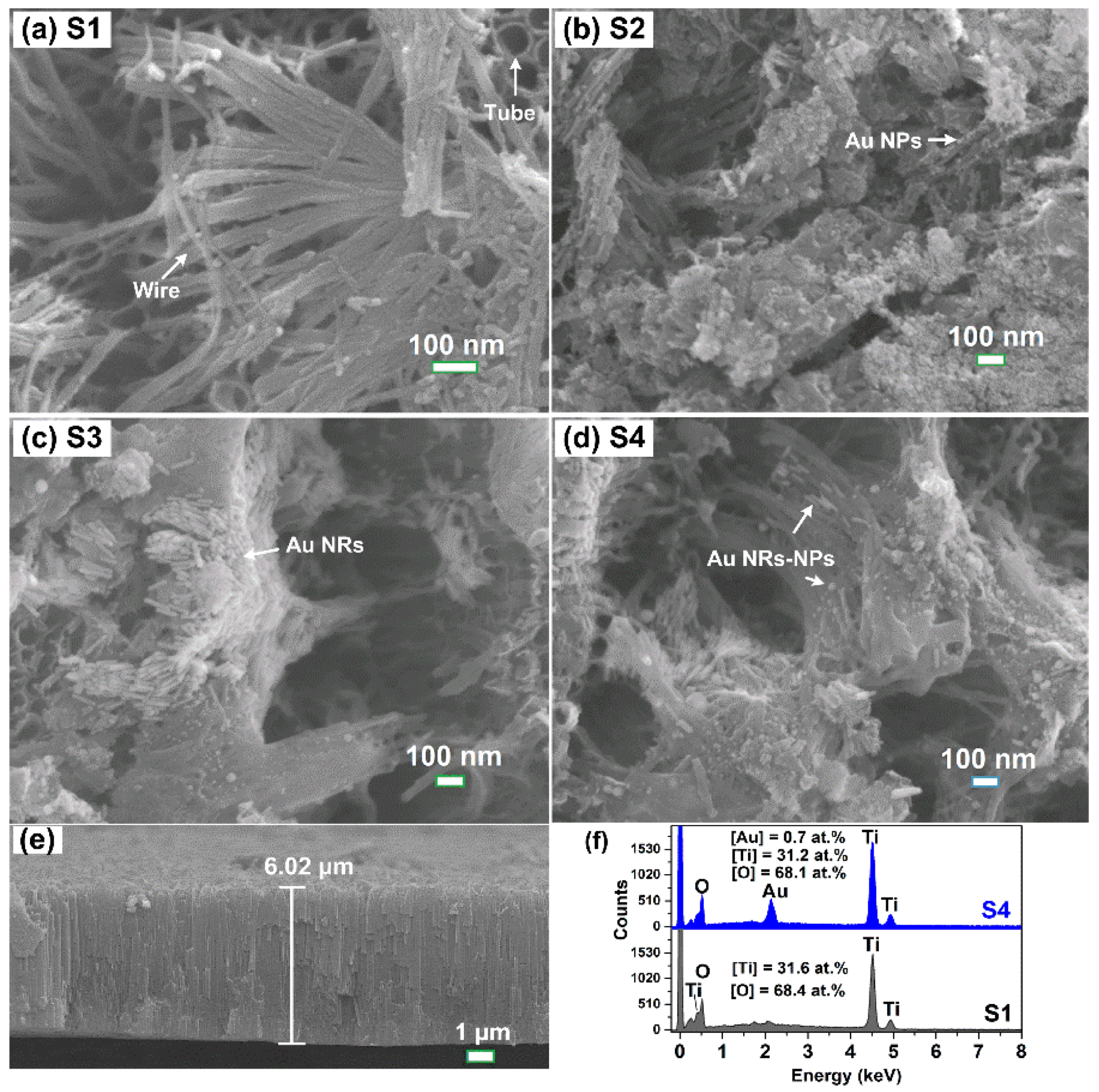 Coatings 12 01957 g004 Coatings 12 01957 g004
