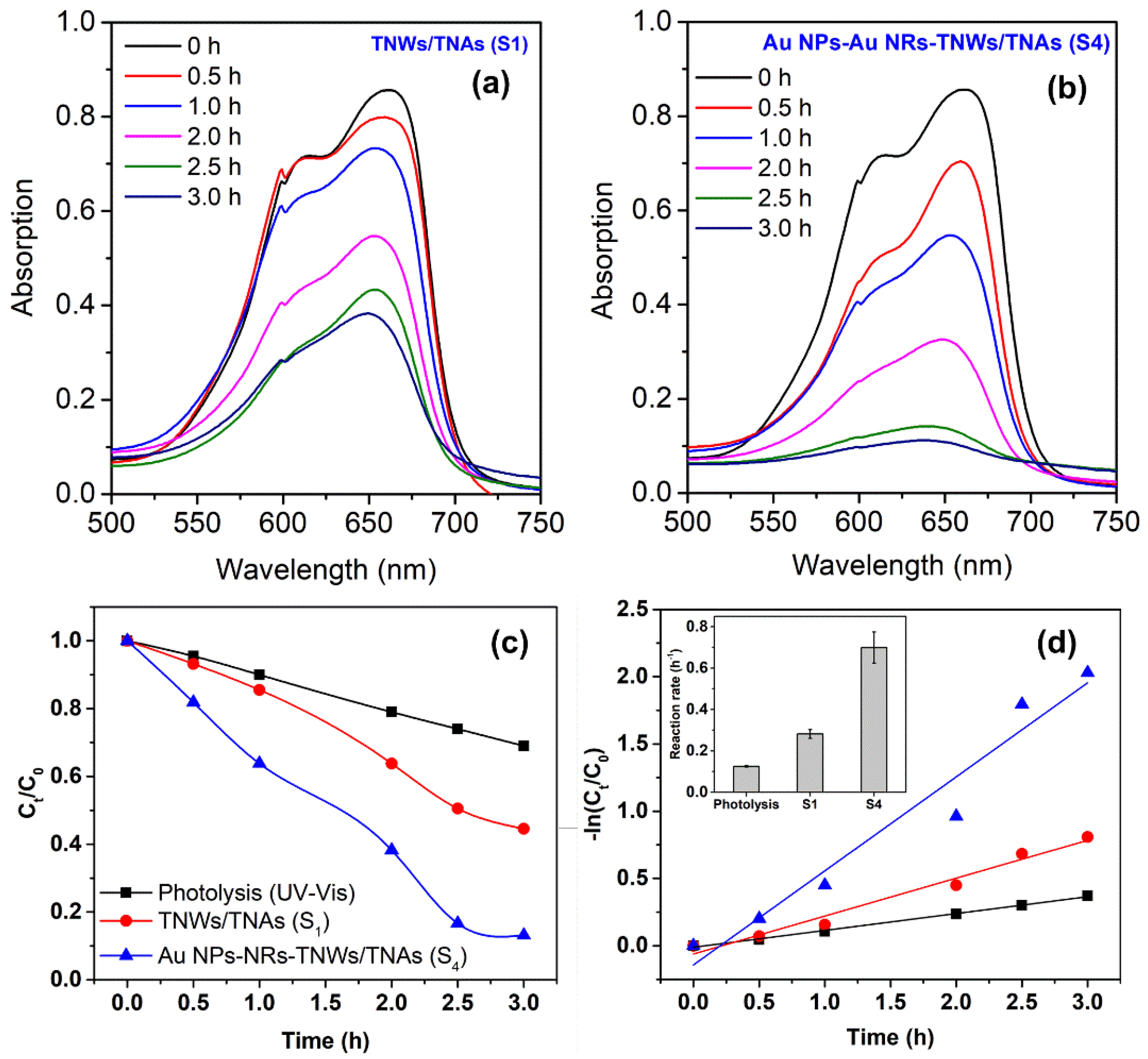 Coatings 12 01957 g008 Coatings 12 01957 g008